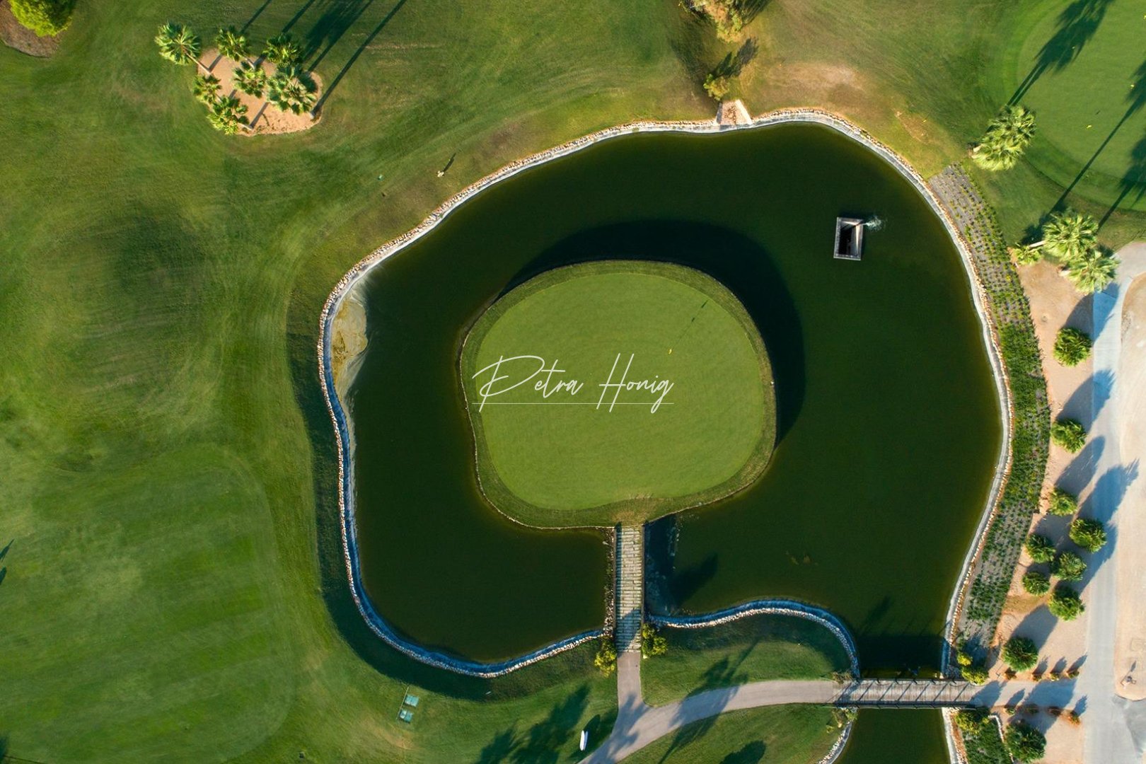 New build - Villa - Pilar de La Horadada - Lo Romero Golf