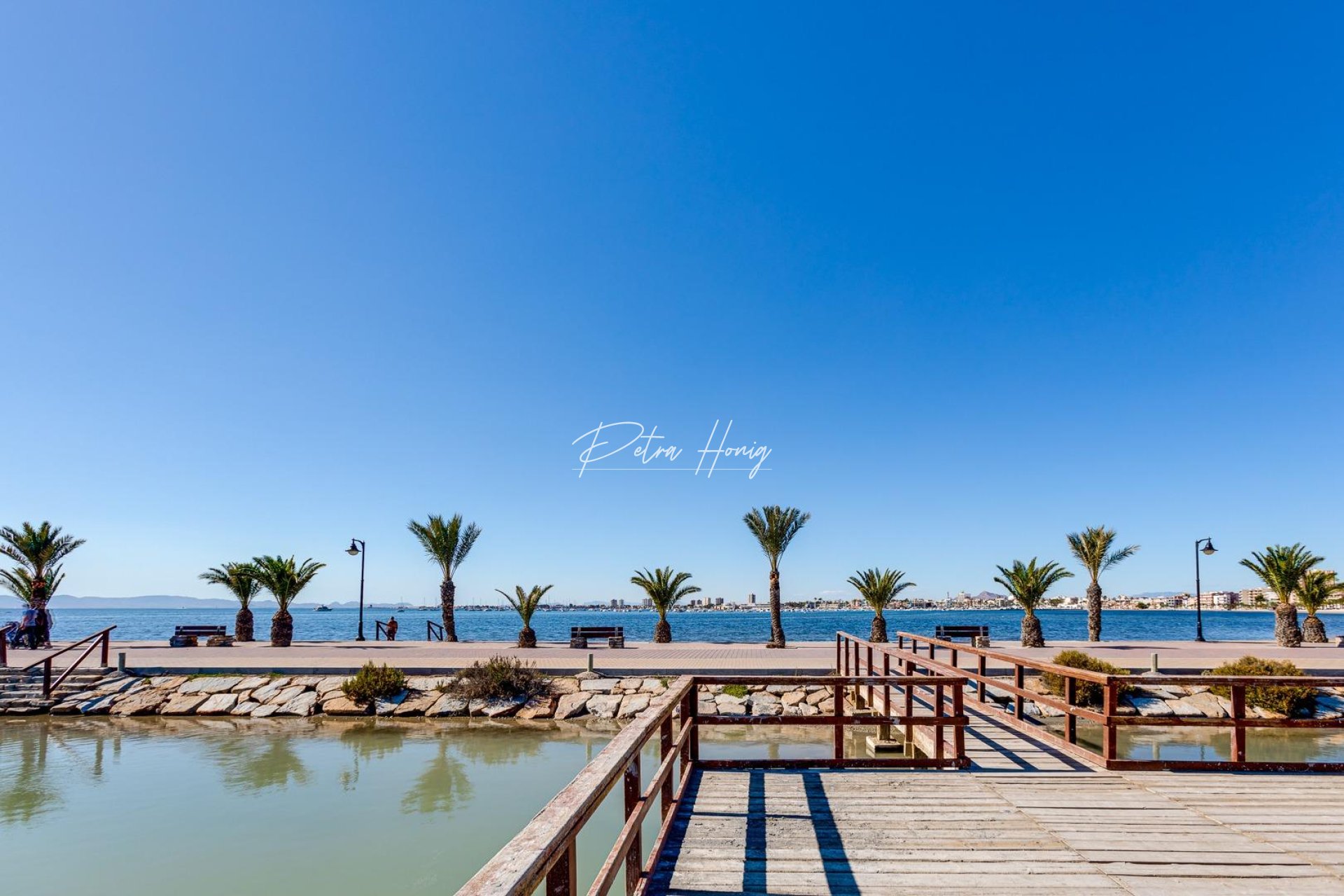 New build - Villa - Pilar de La Horadada