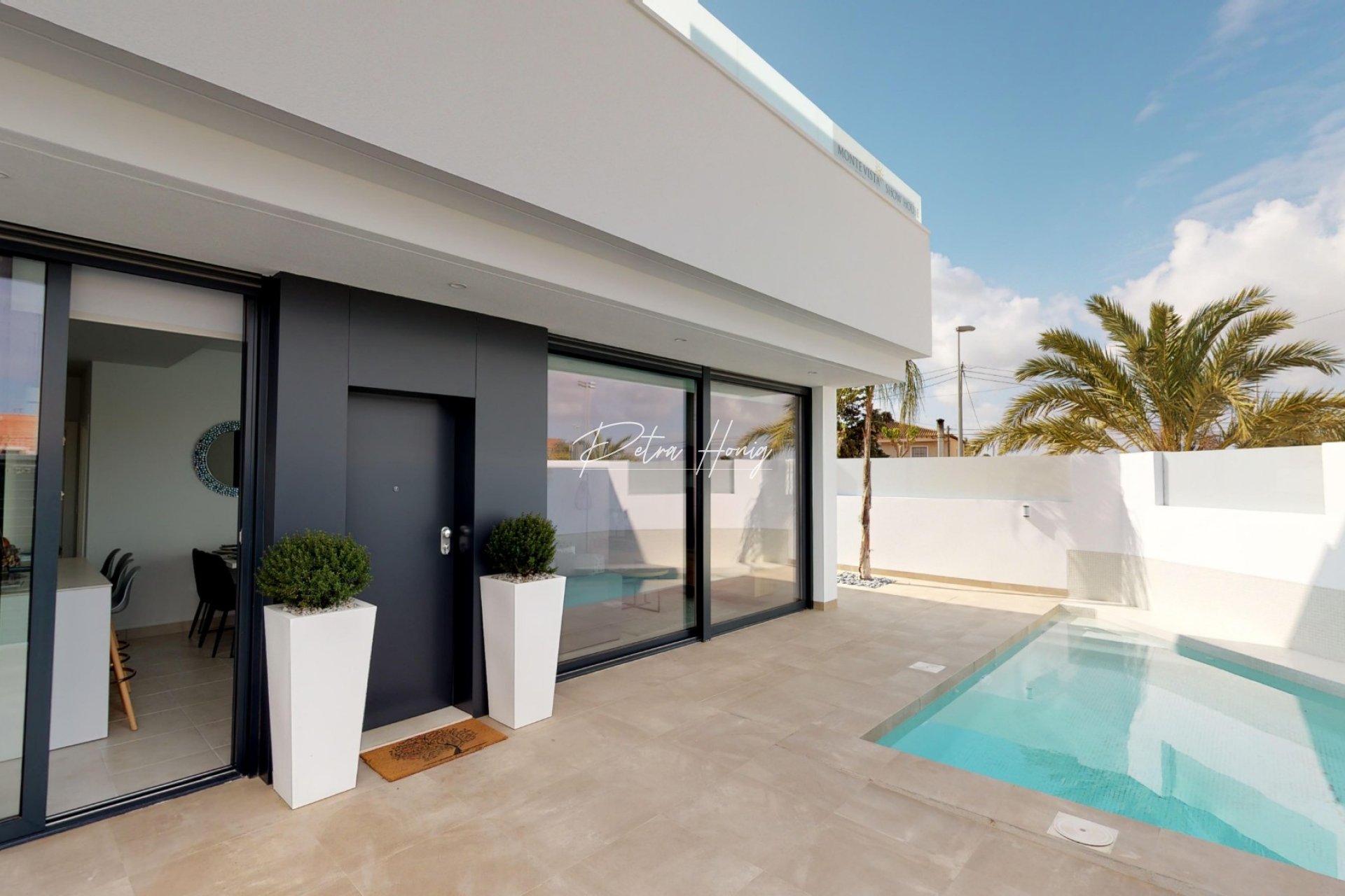 New build - Villa - Pilar de La Horadada