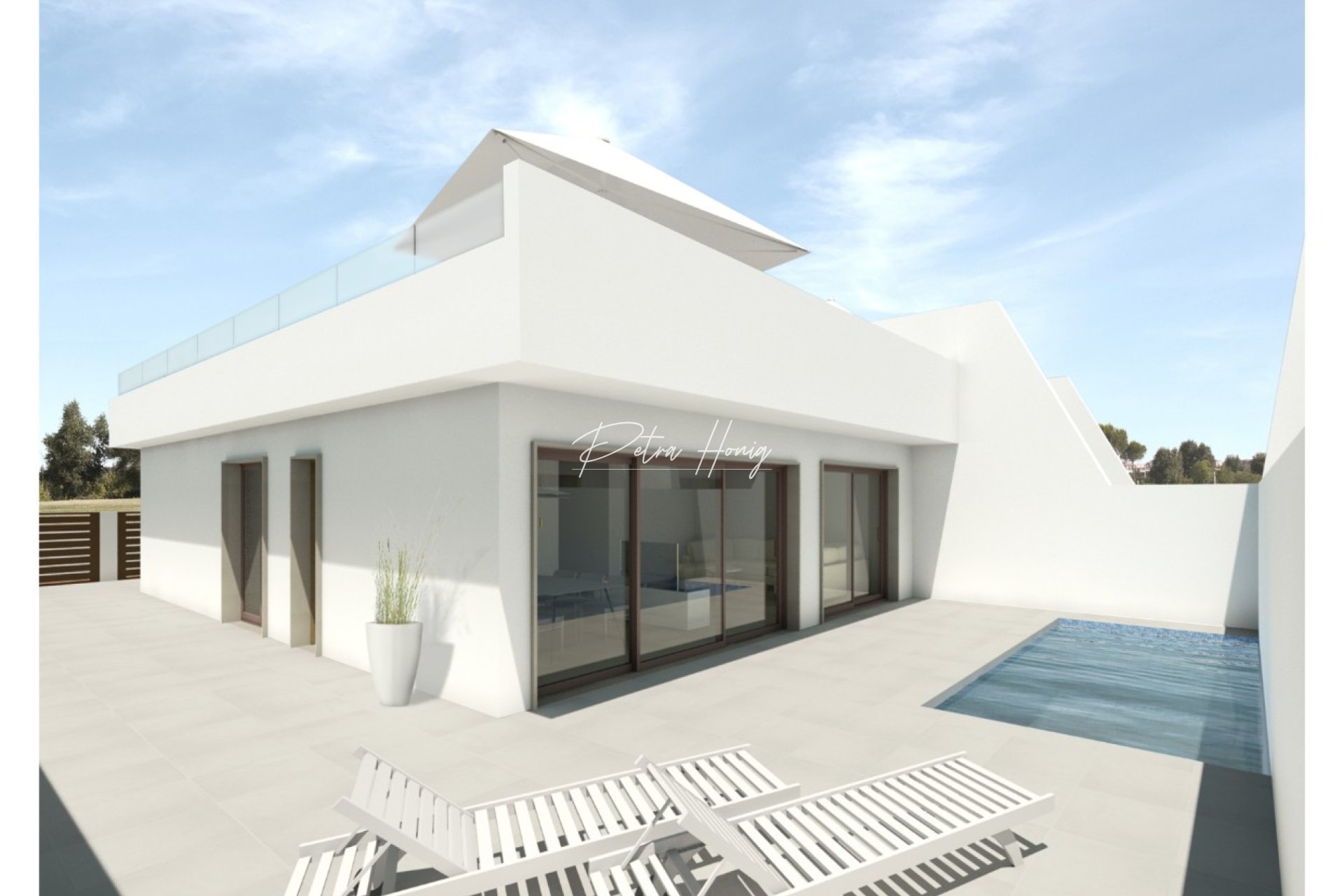 New build - Villa - Pilar de La Horadada