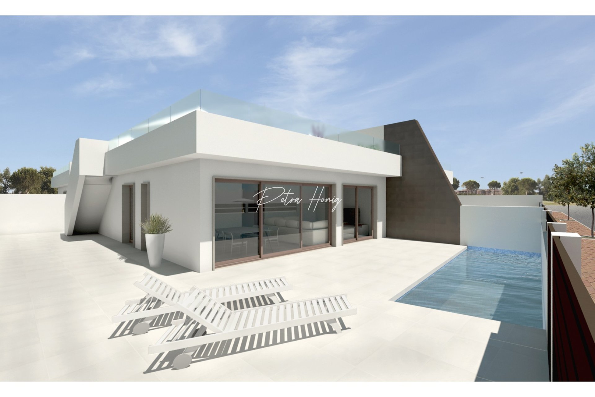 New build - Villa - Pilar de La Horadada