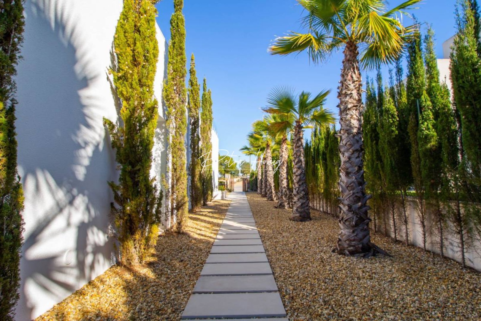 New build - Villa - PInar de Campoverde - Alicante