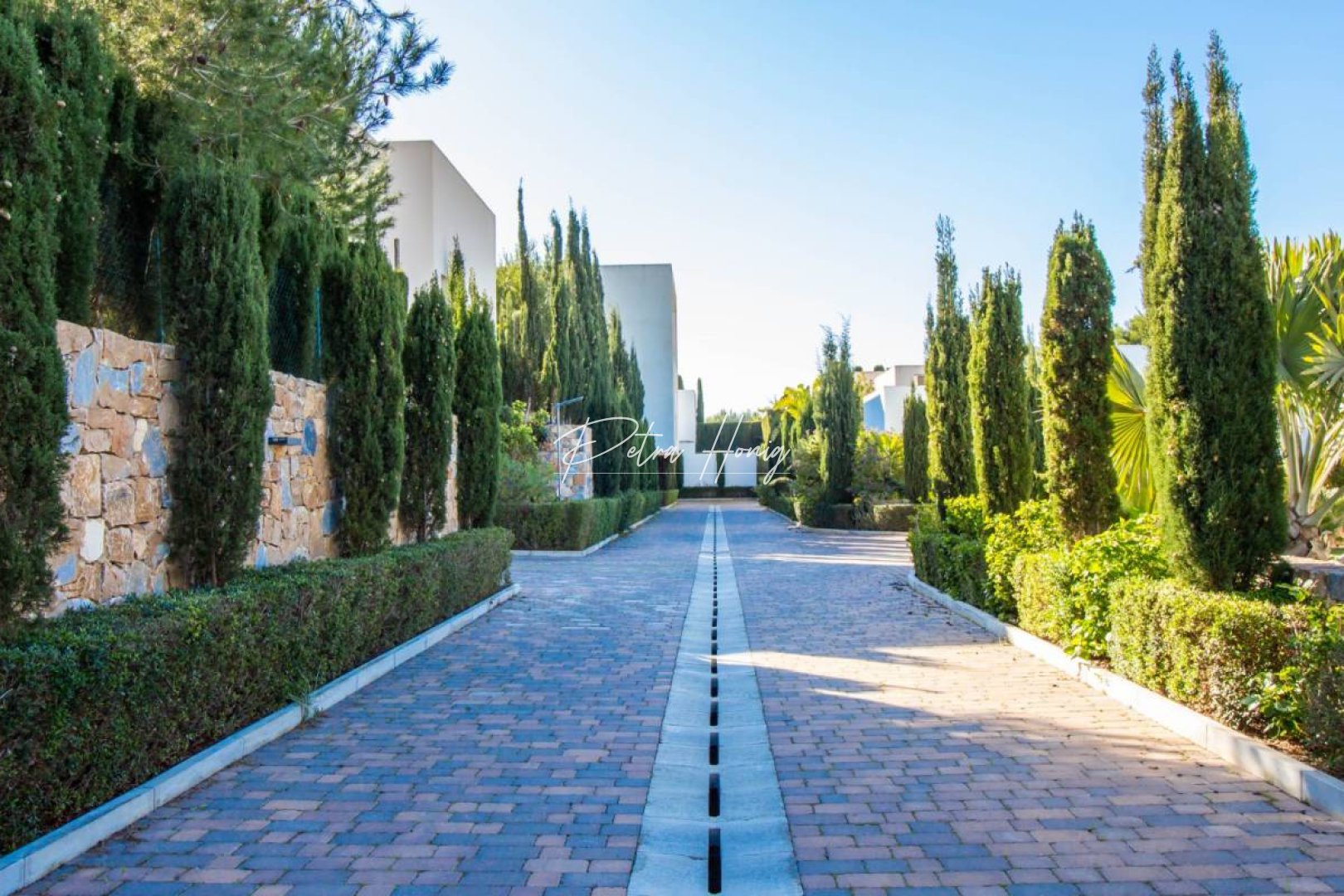 New build - Villa - PInar de Campoverde - Alicante