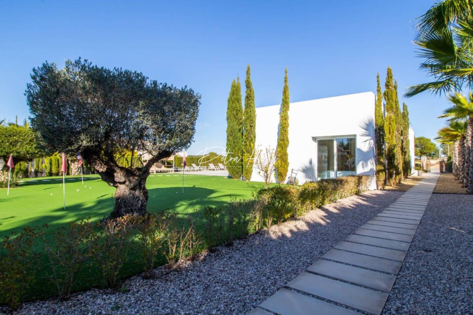 New build - Villa - PInar de Campoverde - Alicante