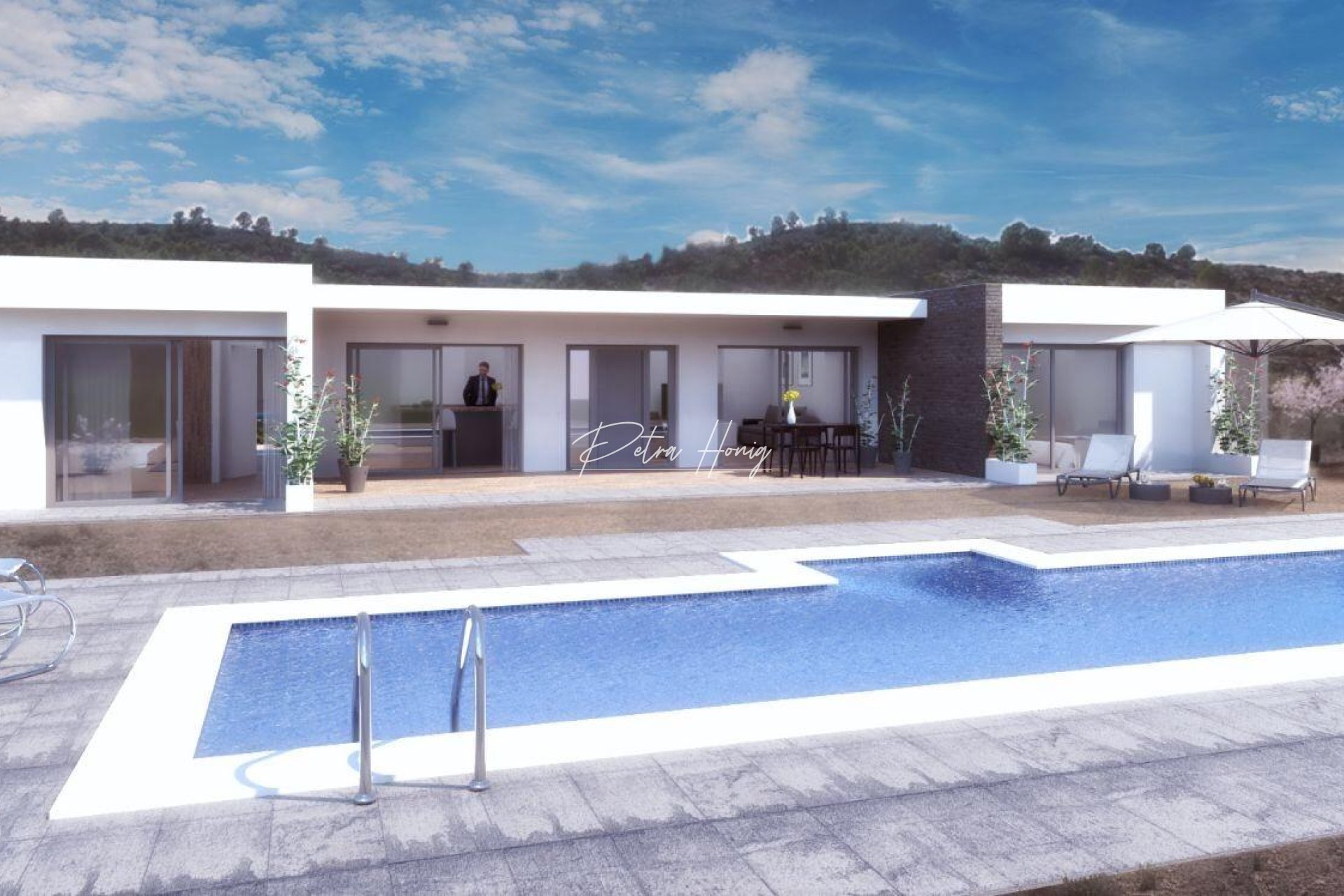 New build - Villa - Pinoso - Camino Del Prado