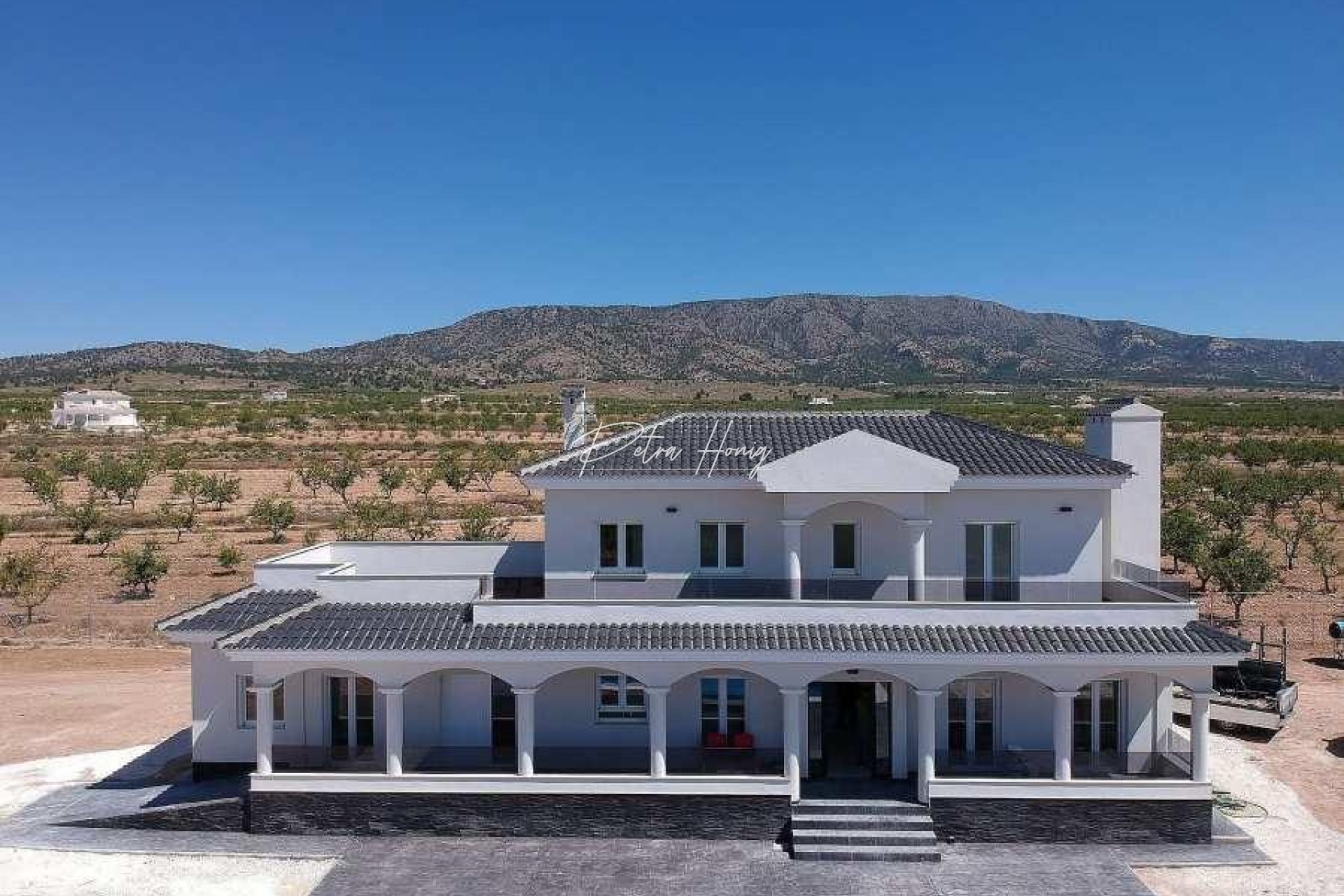 New build - Villa - Pinoso - Camino Del Prado