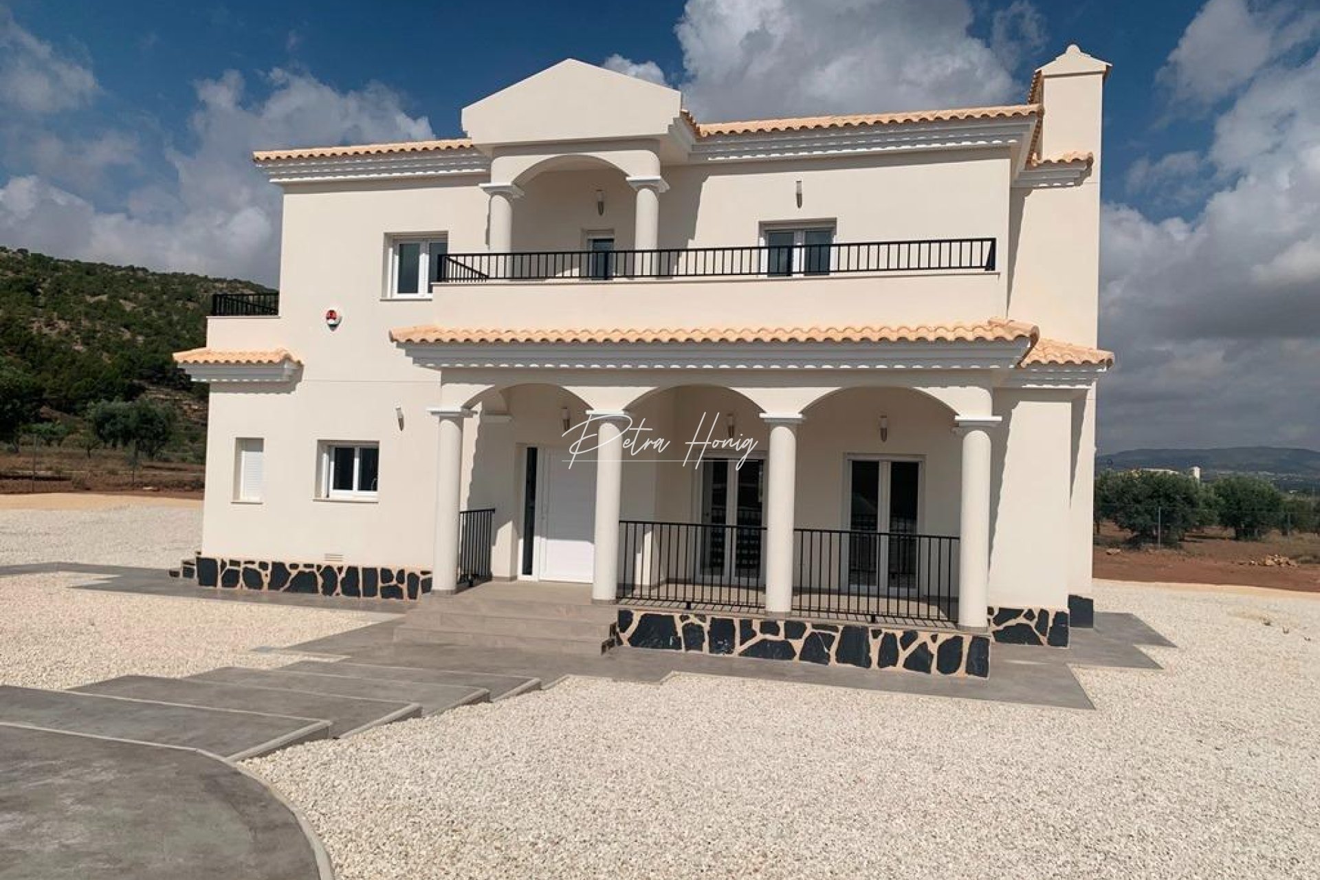 New build - Villa - Pinoso - Camino Del Prado