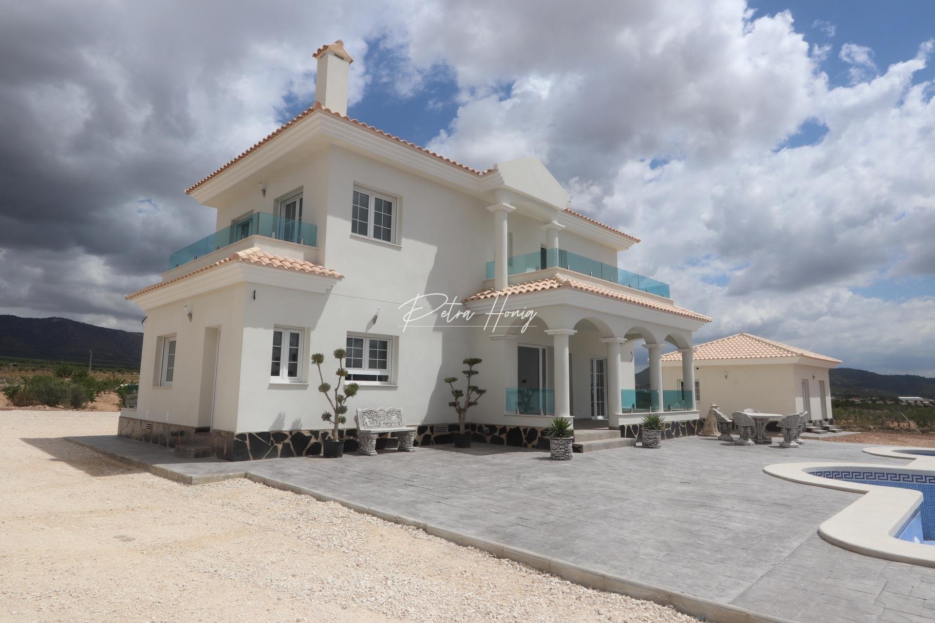 New build - Villa - Pinoso - Camino Del Prado