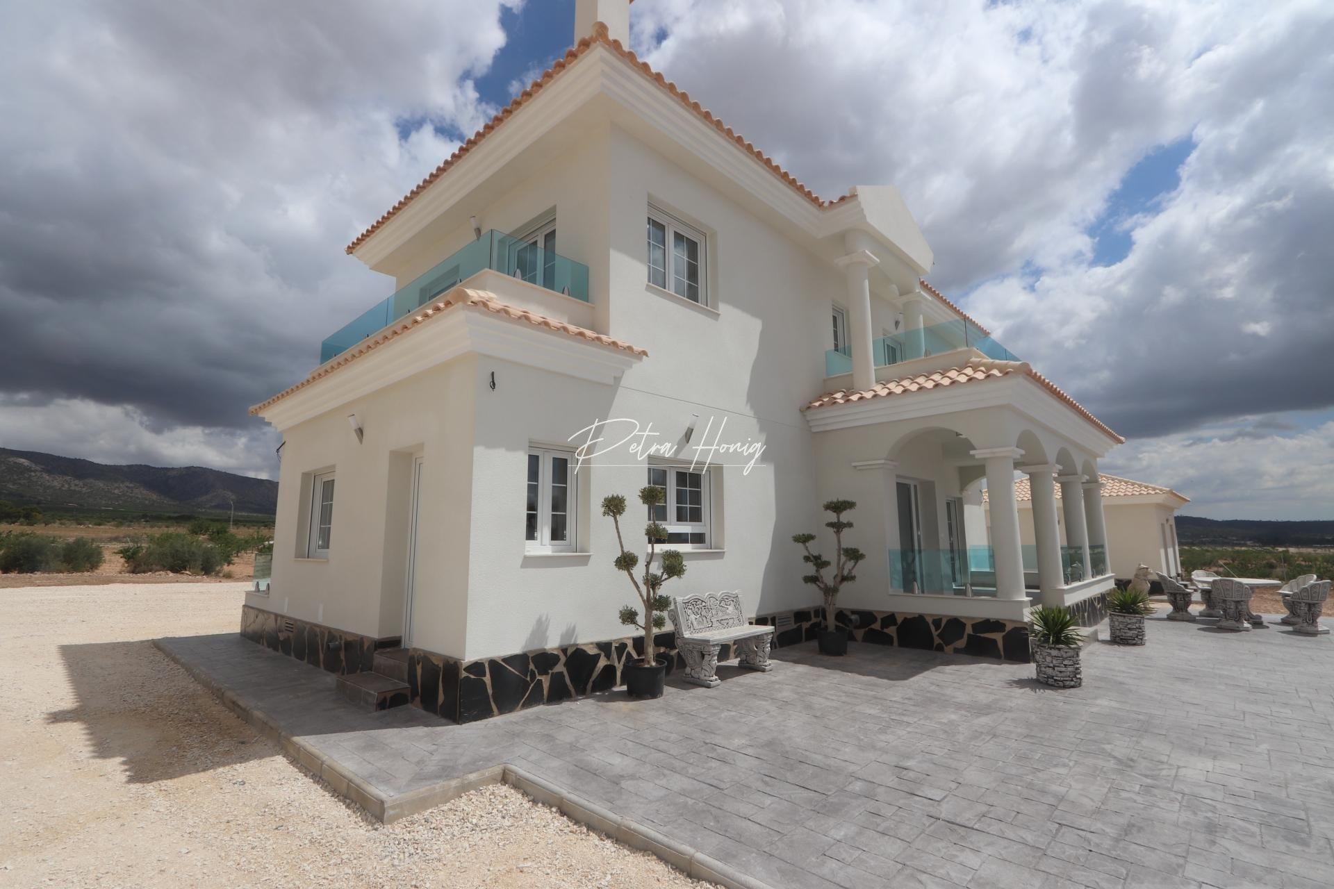 New build - Villa - Pinoso - Camino Del Prado