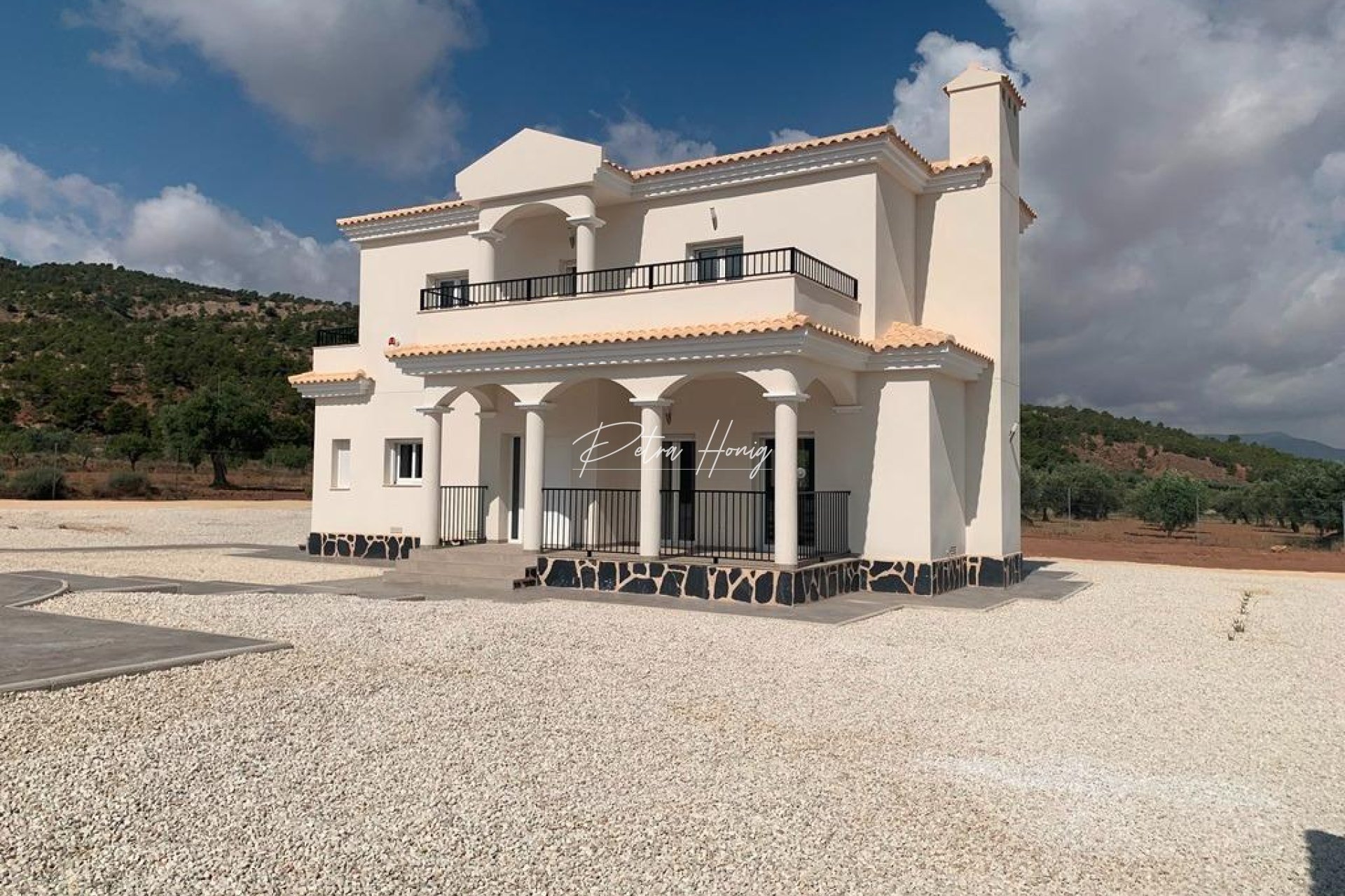 New build - Villa - Pinoso - Camino Del Prado