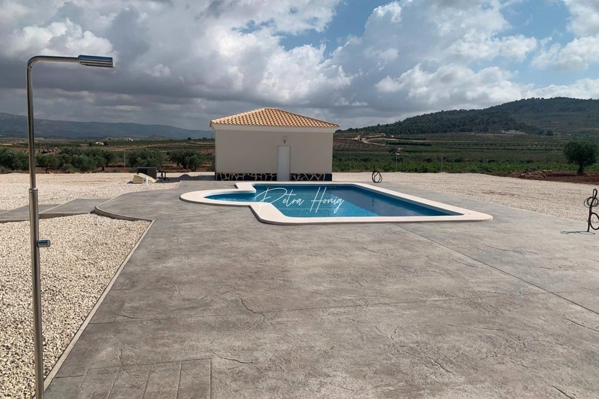 New build - Villa - Pinoso - Camino Del Prado