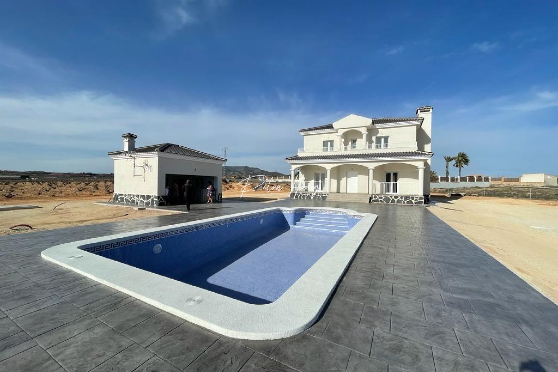 New build - Villa - Pinoso - Camino Del Prado