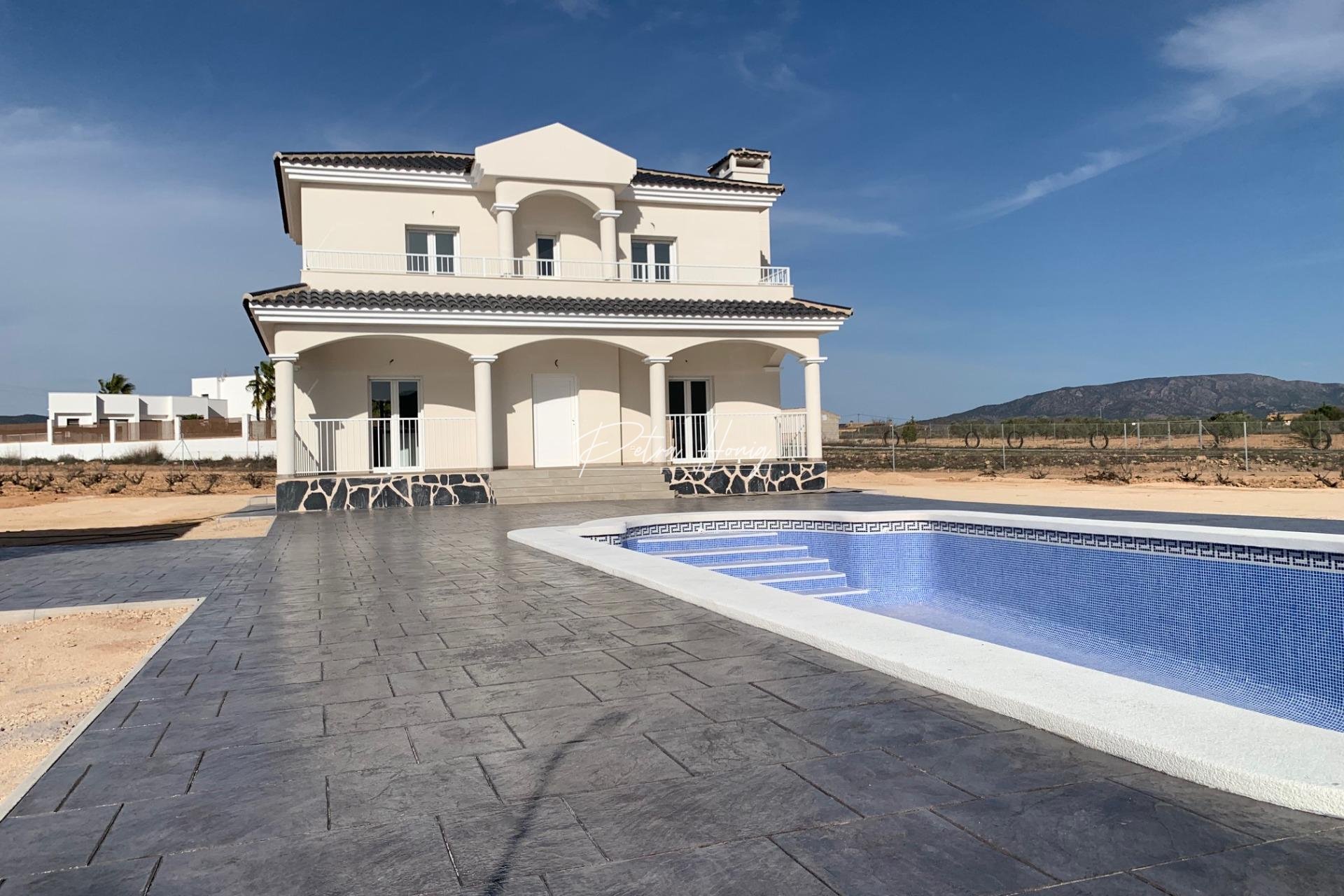 New build - Villa - Pinoso - Camino Del Prado