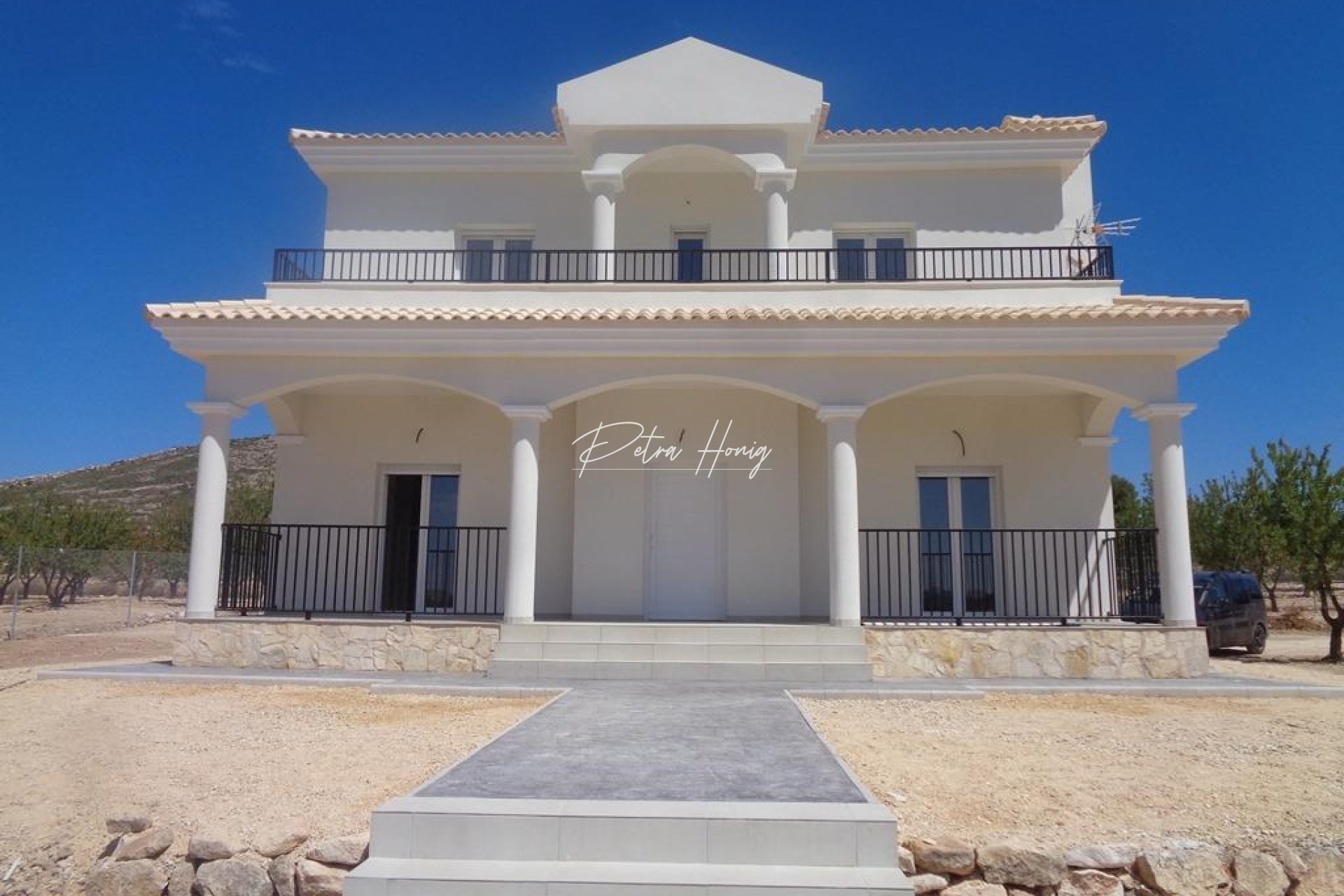 New build - Villa - Pinoso - Camino Del Prado