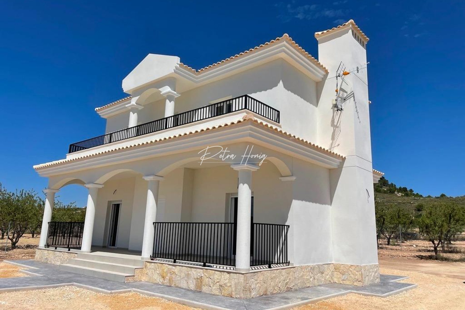 New build - Villa - Pinoso - Camino Del Prado