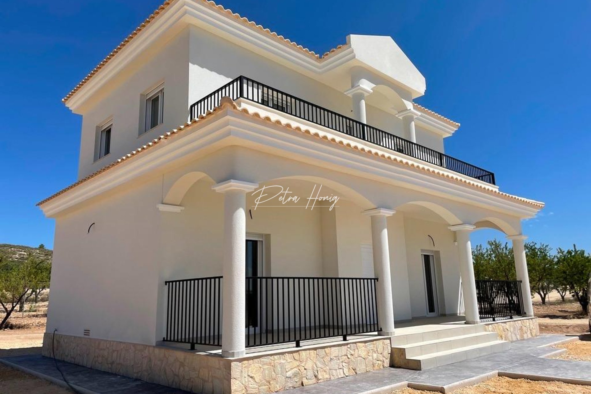 New build - Villa - Pinoso - Camino Del Prado