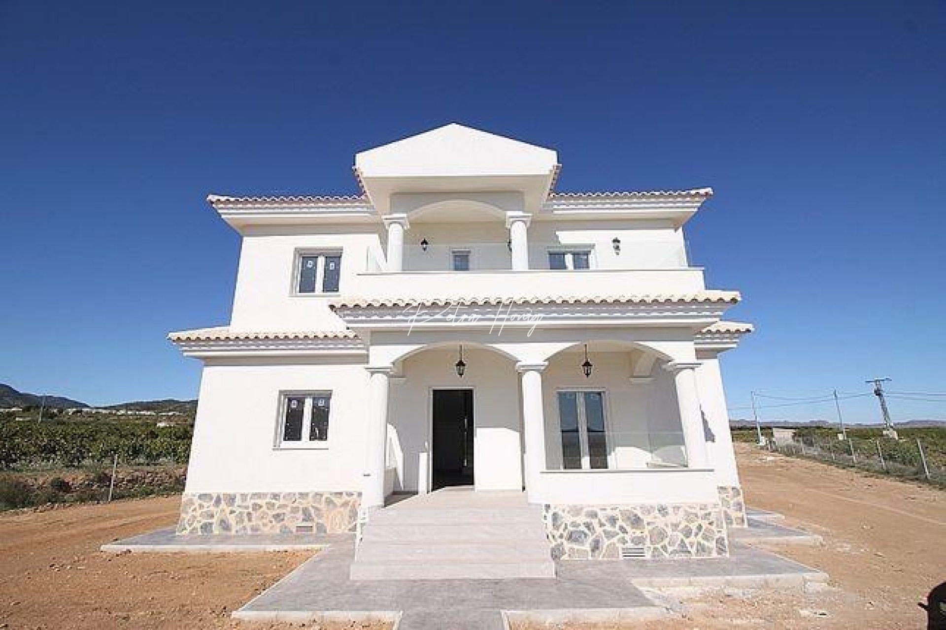 New build - Villa - Pinoso - Camino Del Prado