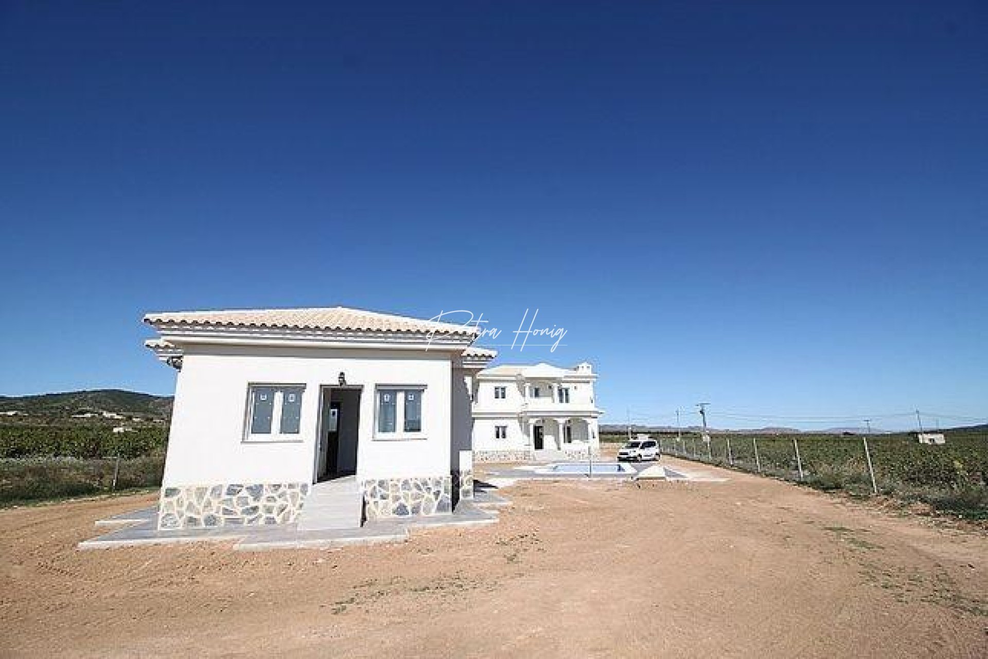 New build - Villa - Pinoso - Camino Del Prado