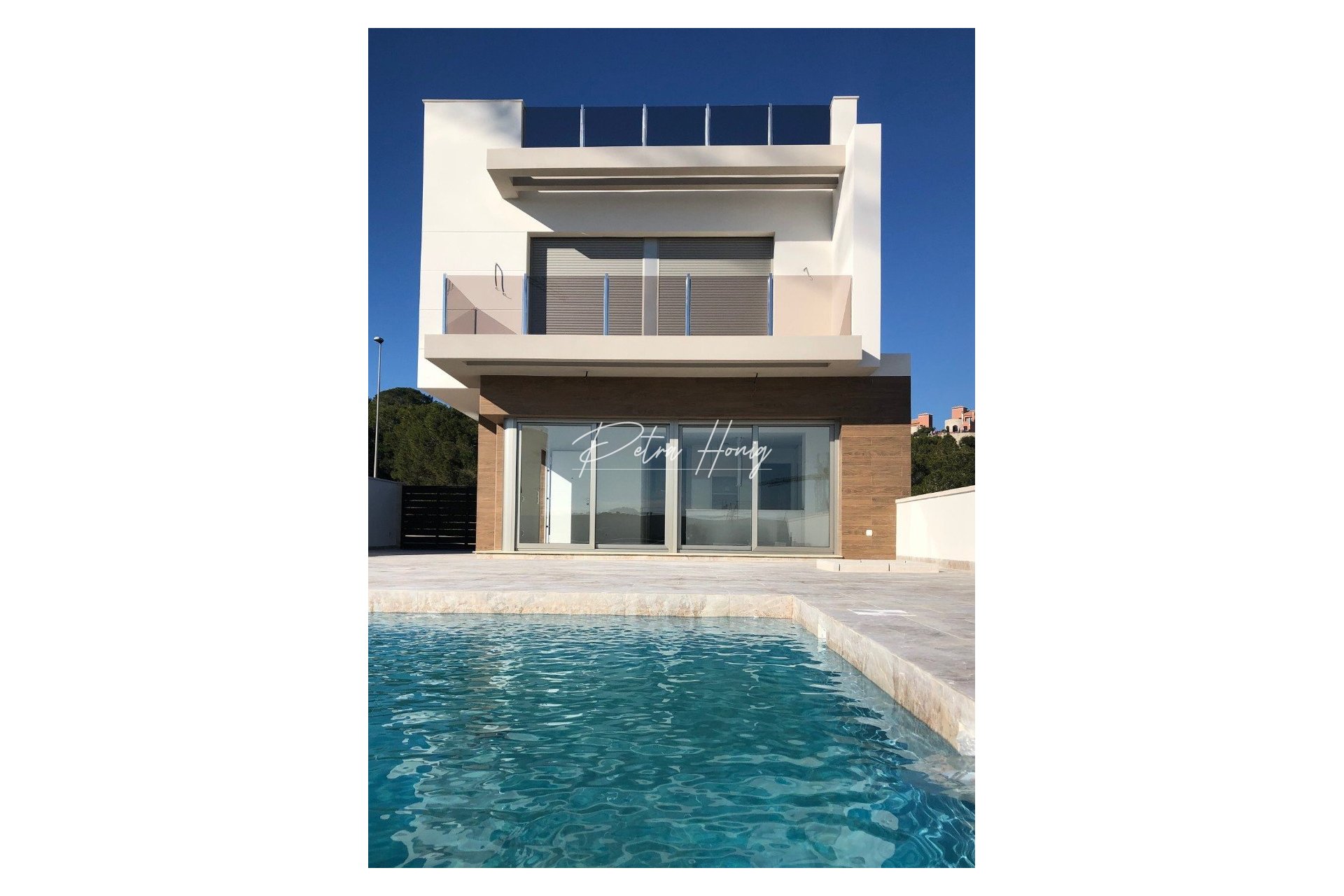 New build - Villa - San Miguel de Salinas