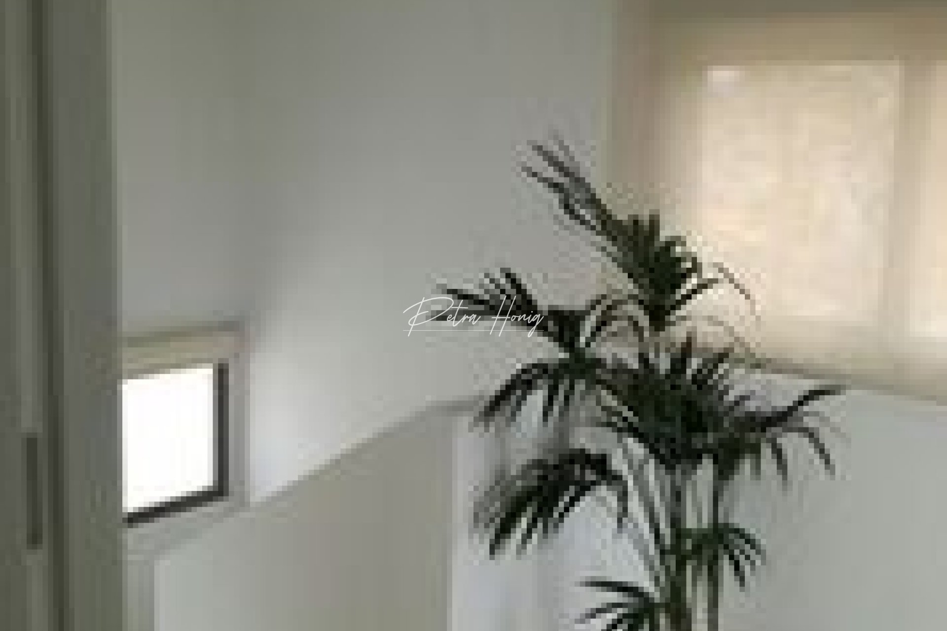 New build - Villa - San Miguel de Salinas