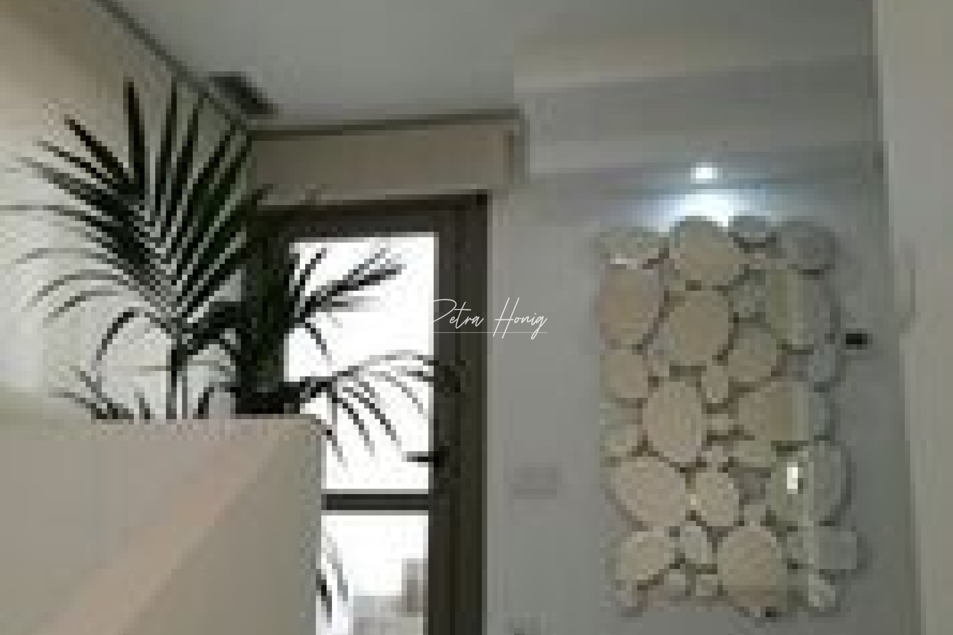 New build - Villa - San Miguel de Salinas
