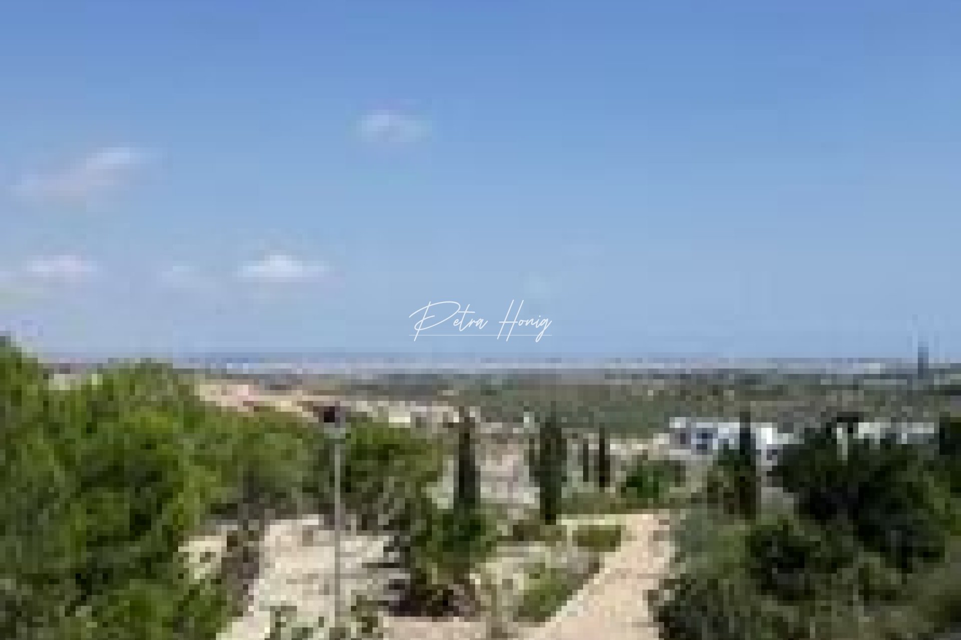 New build - Villa - San Miguel de Salinas