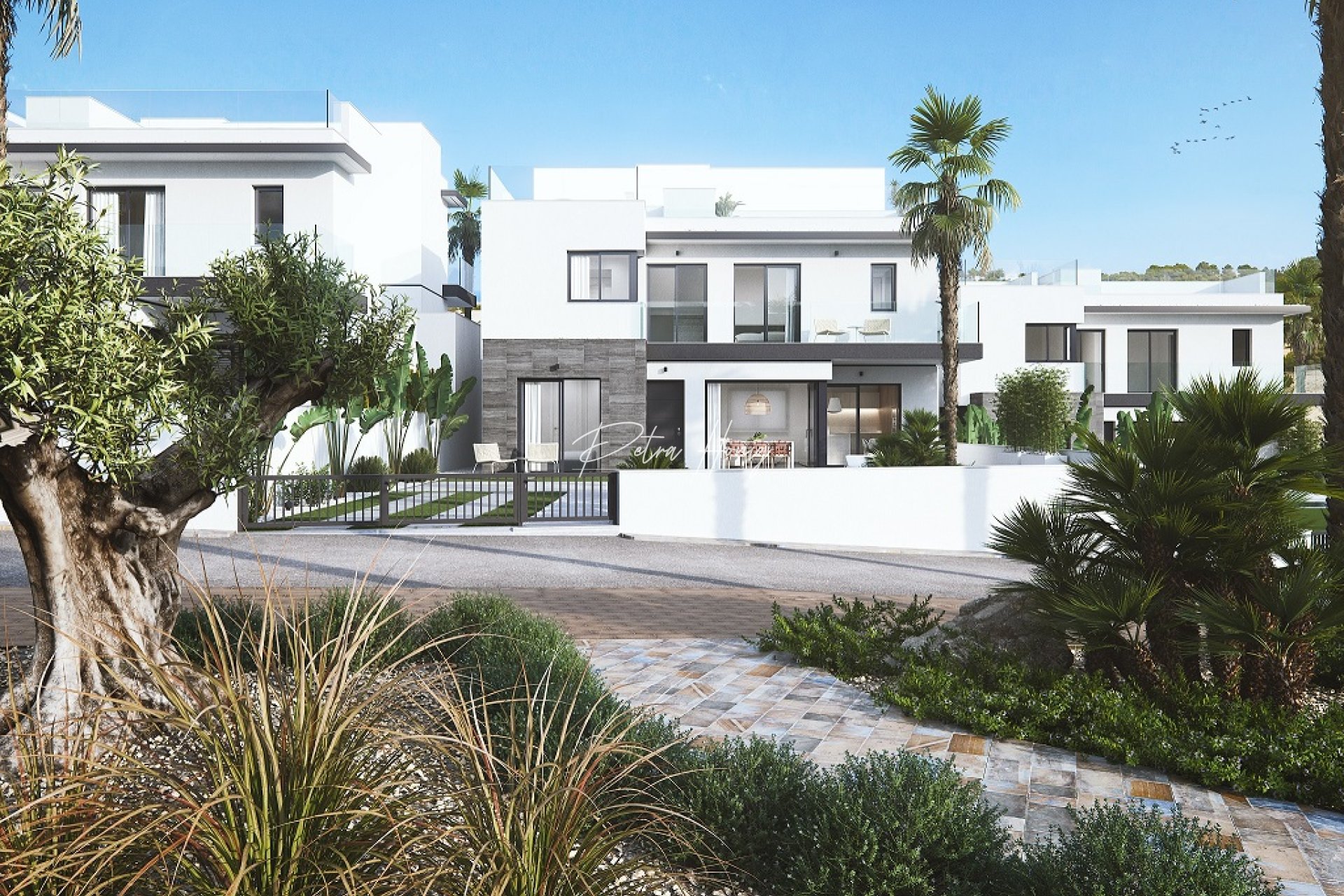 New build - Villa - San Miguel de Salinas