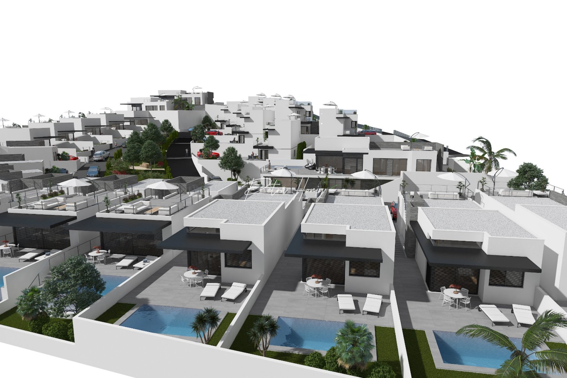 New build - Villa - San Miguel de Salinas