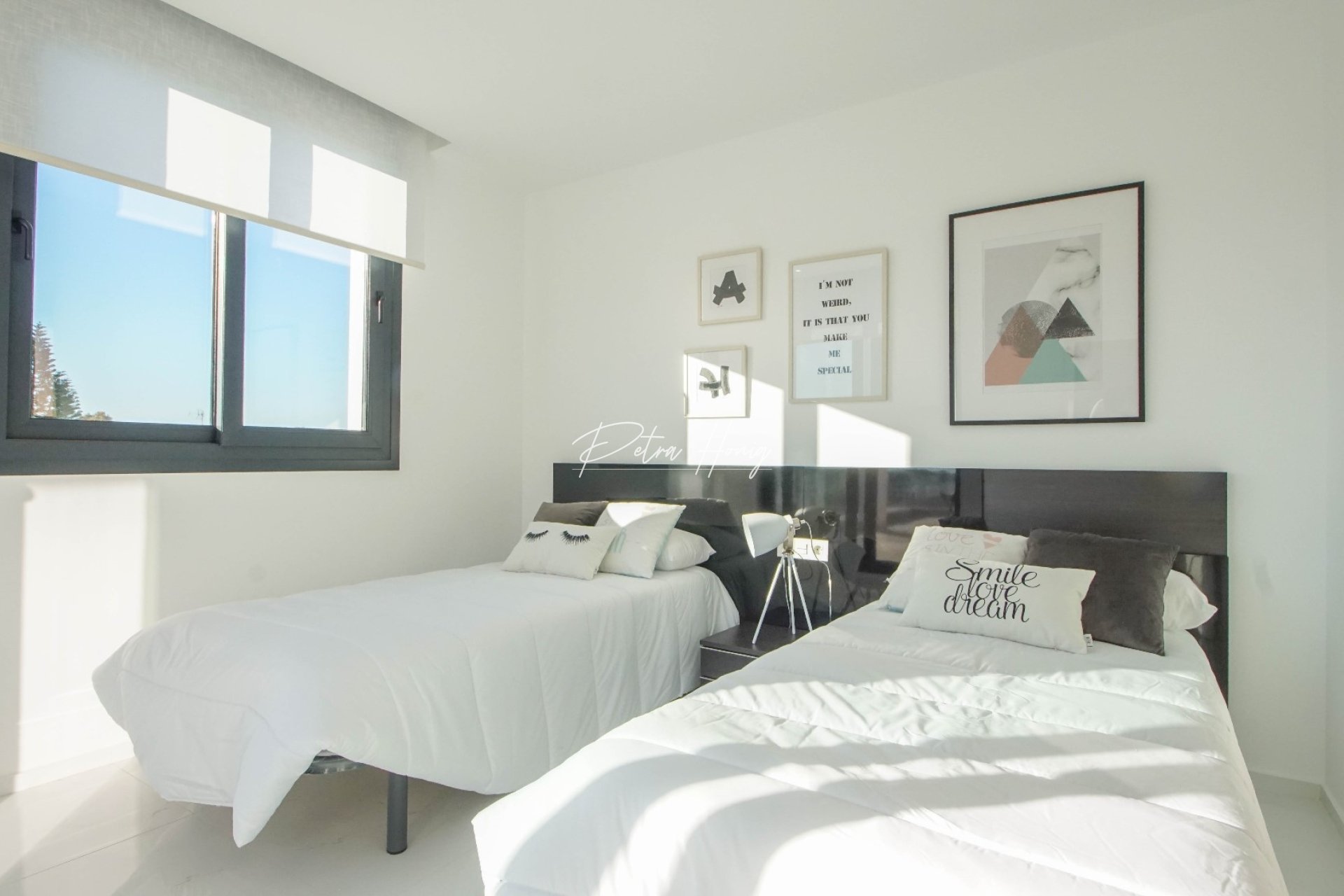 New build - Villa - Torrevieja - El Chaparral