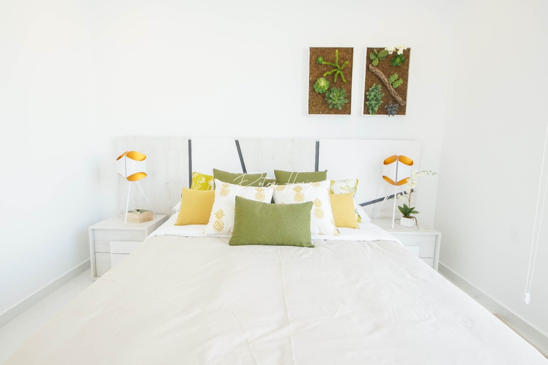 New build - Villa - Torrevieja - Torreta Florida