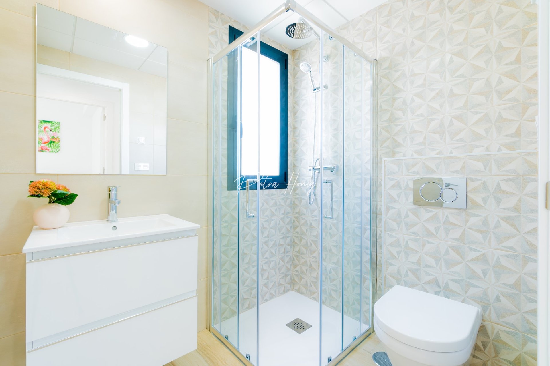 New build - Villa - Torrevieja