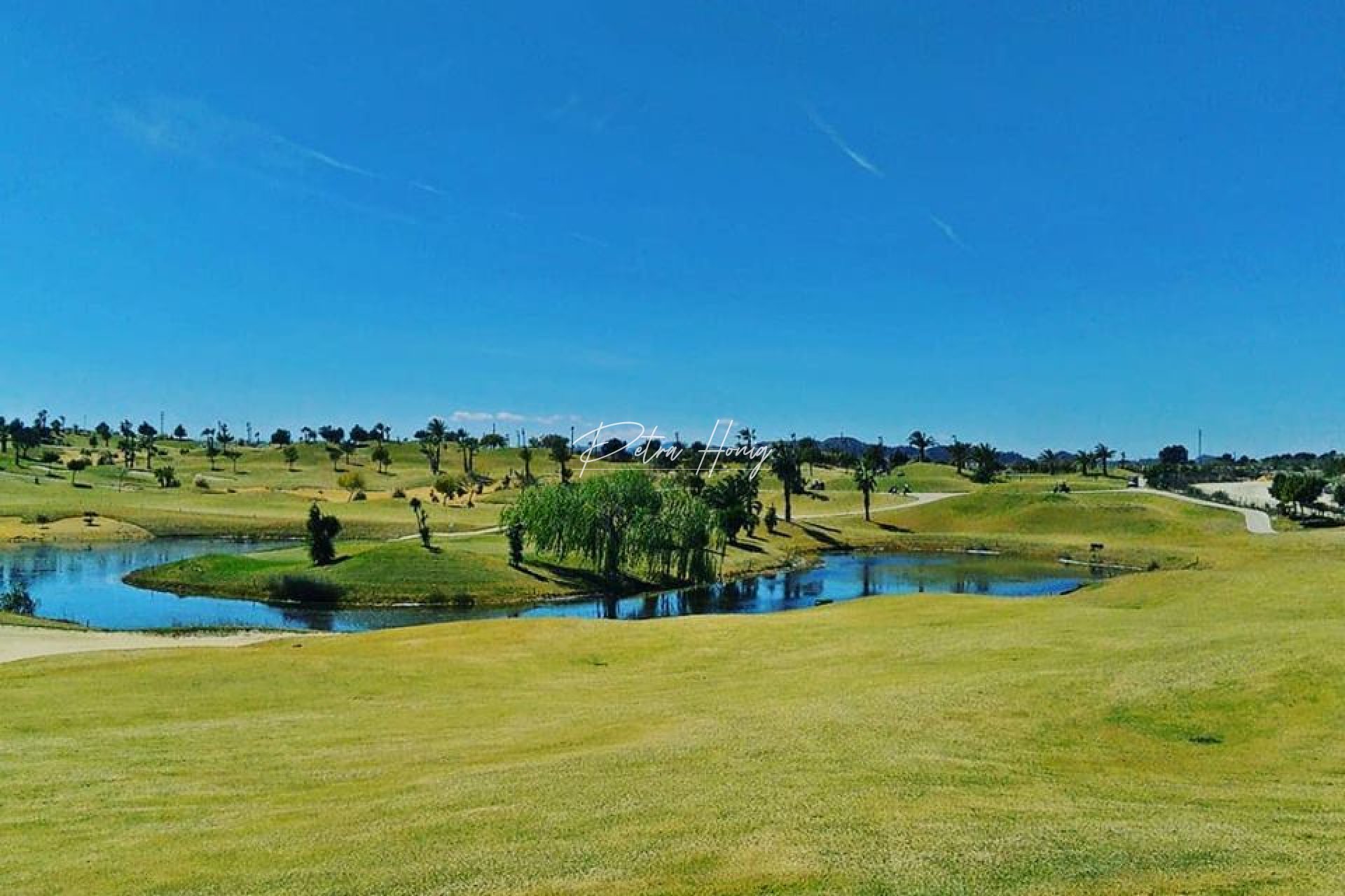 New build - Villa - Vista Bella Golf - Entre Naranjos
