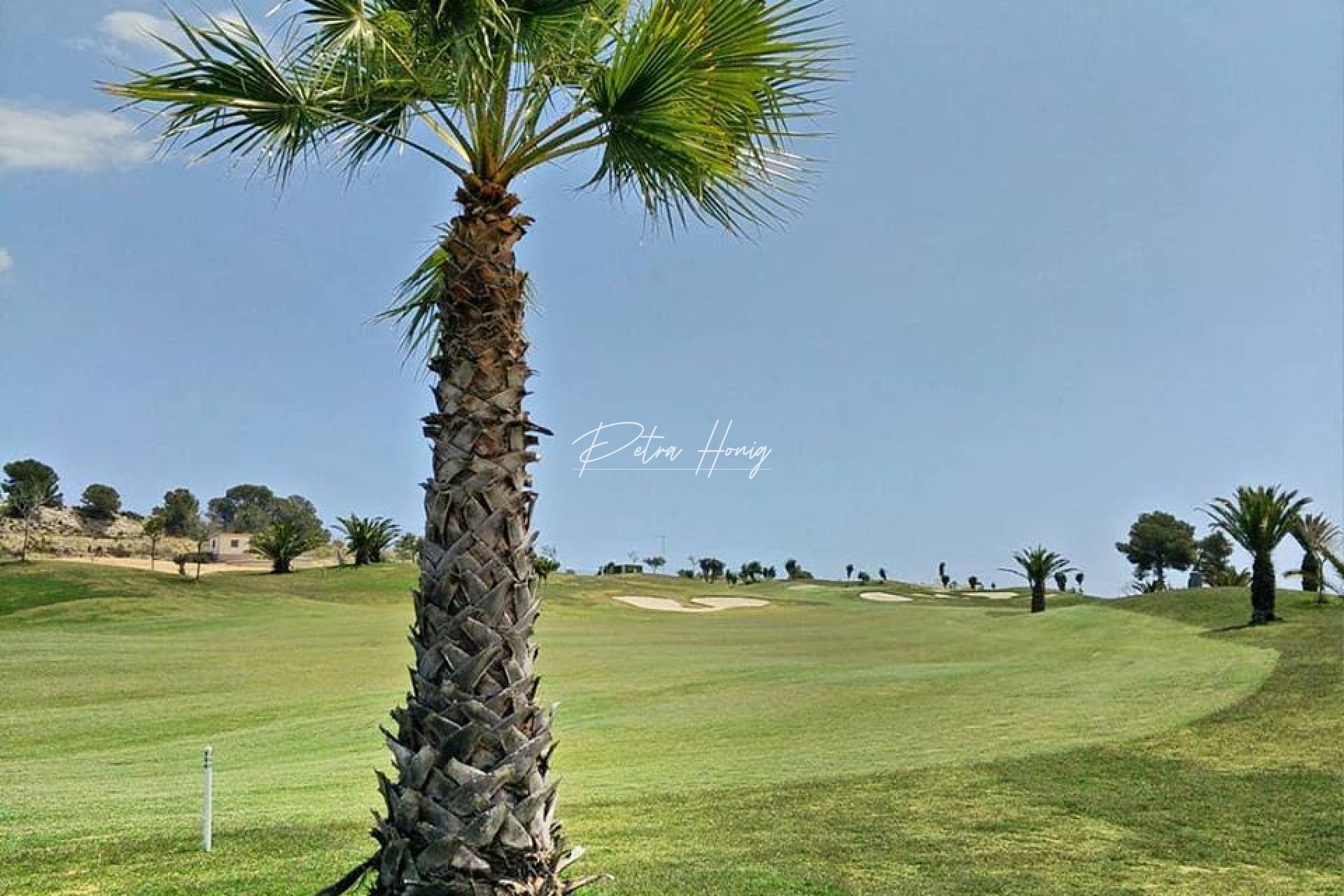 New build - Villa - Vista Bella Golf - Entre Naranjos