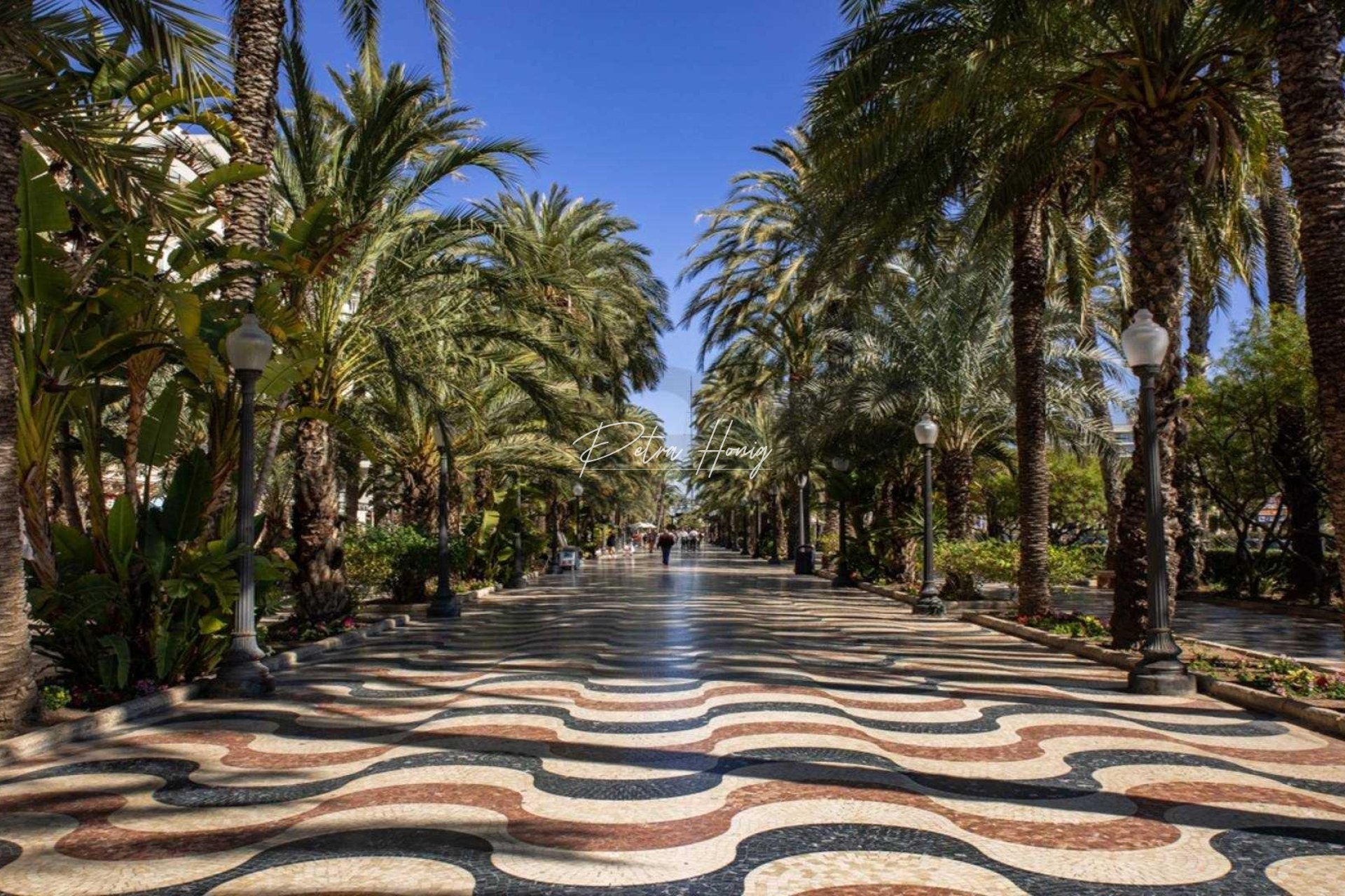 nieuw - Appartement - Alicante - Centro