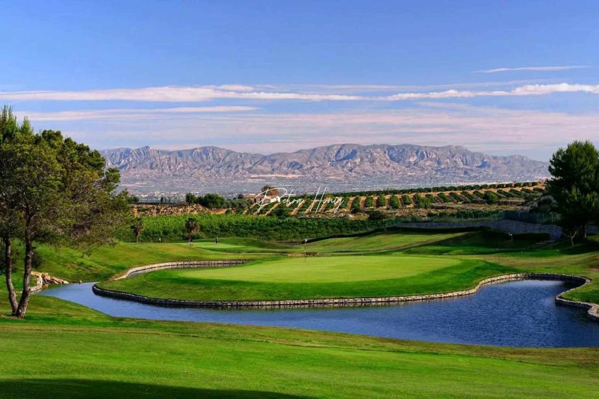 nieuw - Bungalow - Algorfa - La Finca Golf