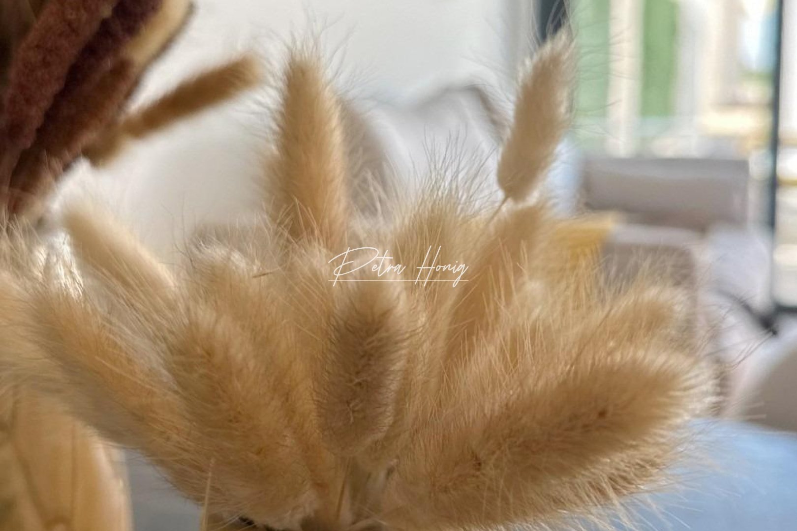 nieuw - Bungalow - San Fulgencio - Pueblo