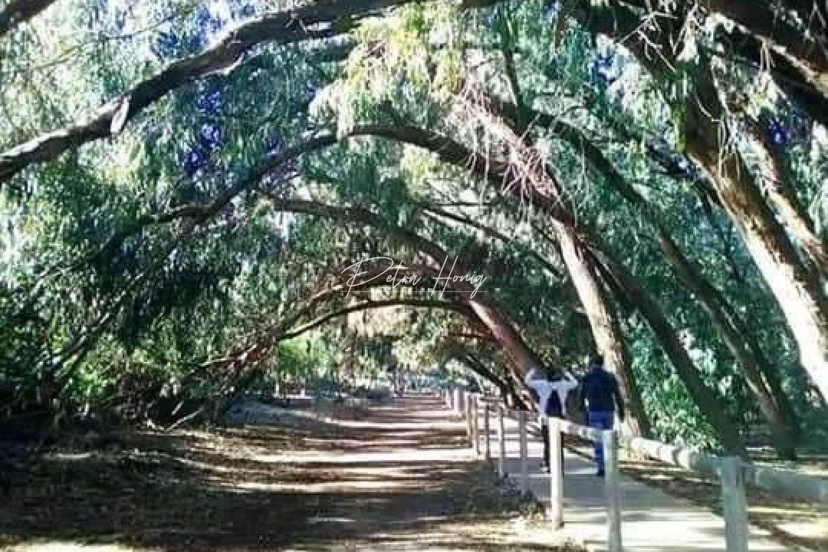 nieuw - Bungalow - Torrevieja - Altos del Sol