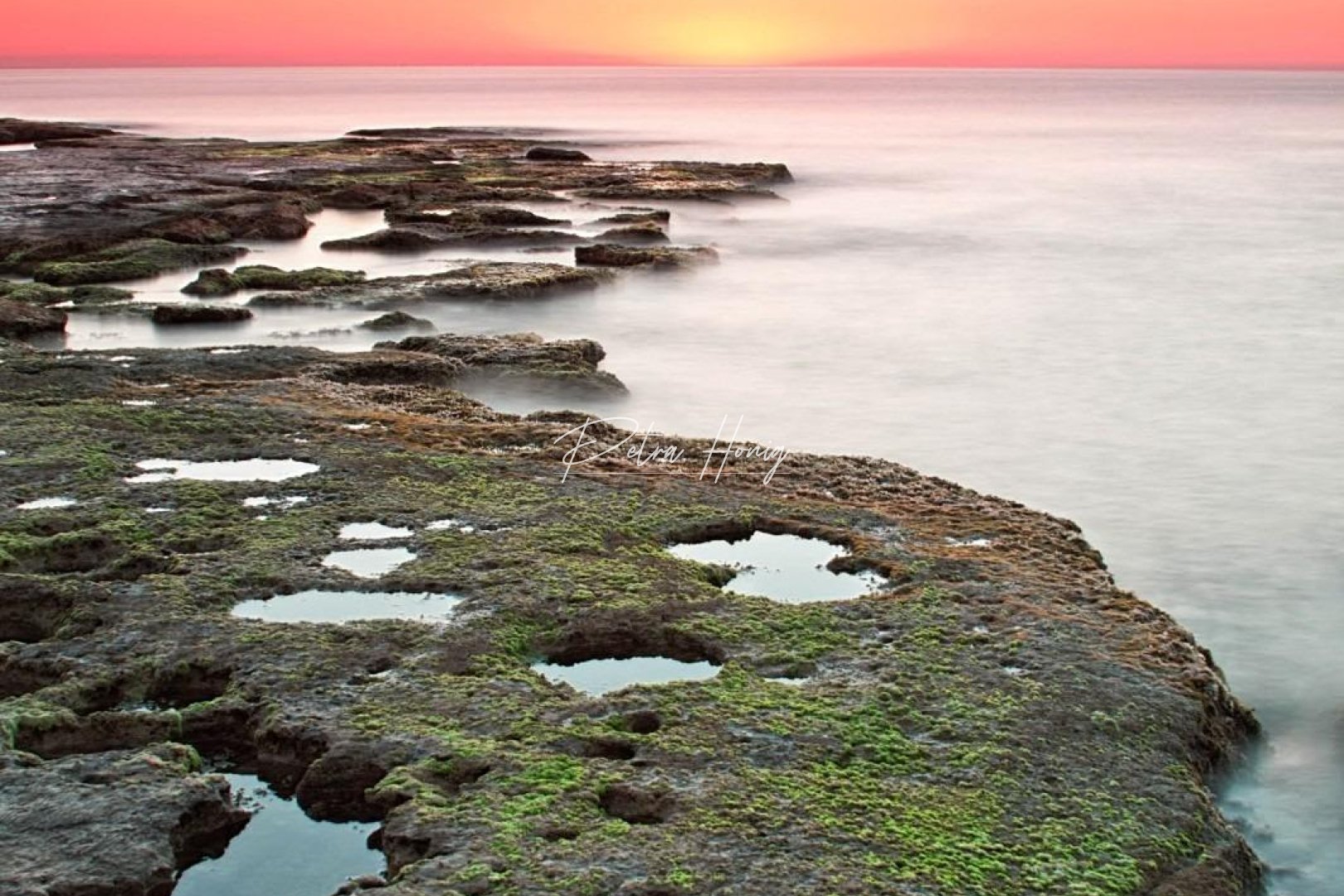 nieuw - Bungalow - Torrevieja - Altos del Sol