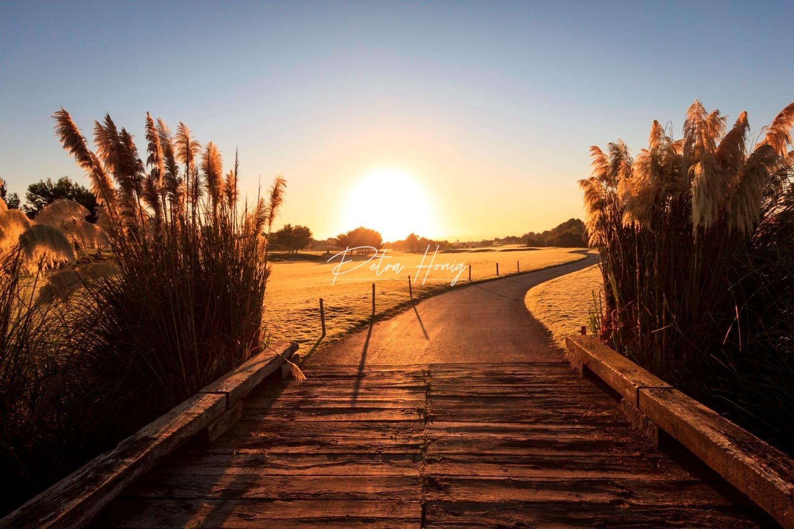 nieuw - Villa - Pilar de La Horadada - Lo Romero Golf