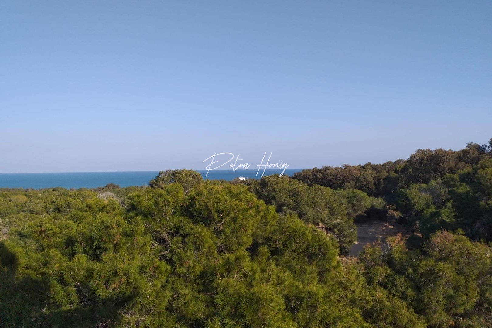 Nouvelle Construction - Appartement - Guardamar del Segura - Pueblo