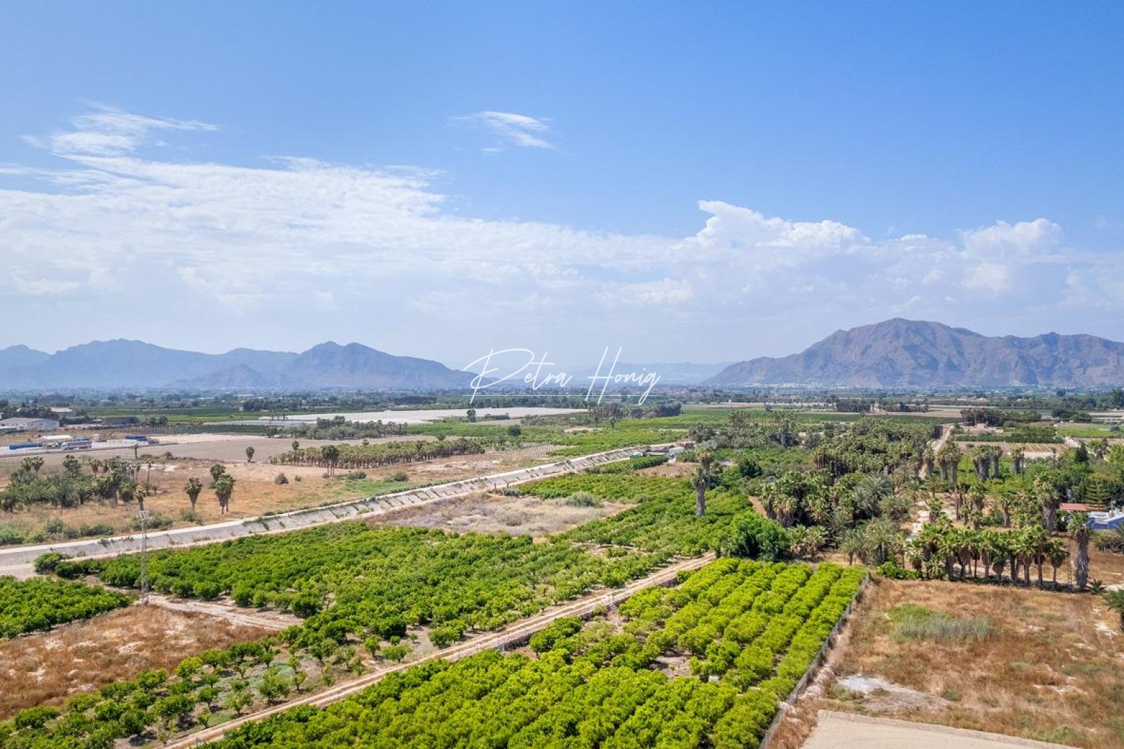 Nouvelle Construction - Appartement - Jacarilla - pueblo