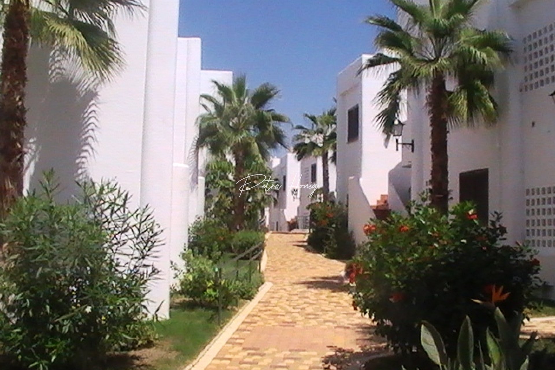 Nouvelle Construction - Appartement - Other areas - San Juan de los Terreros