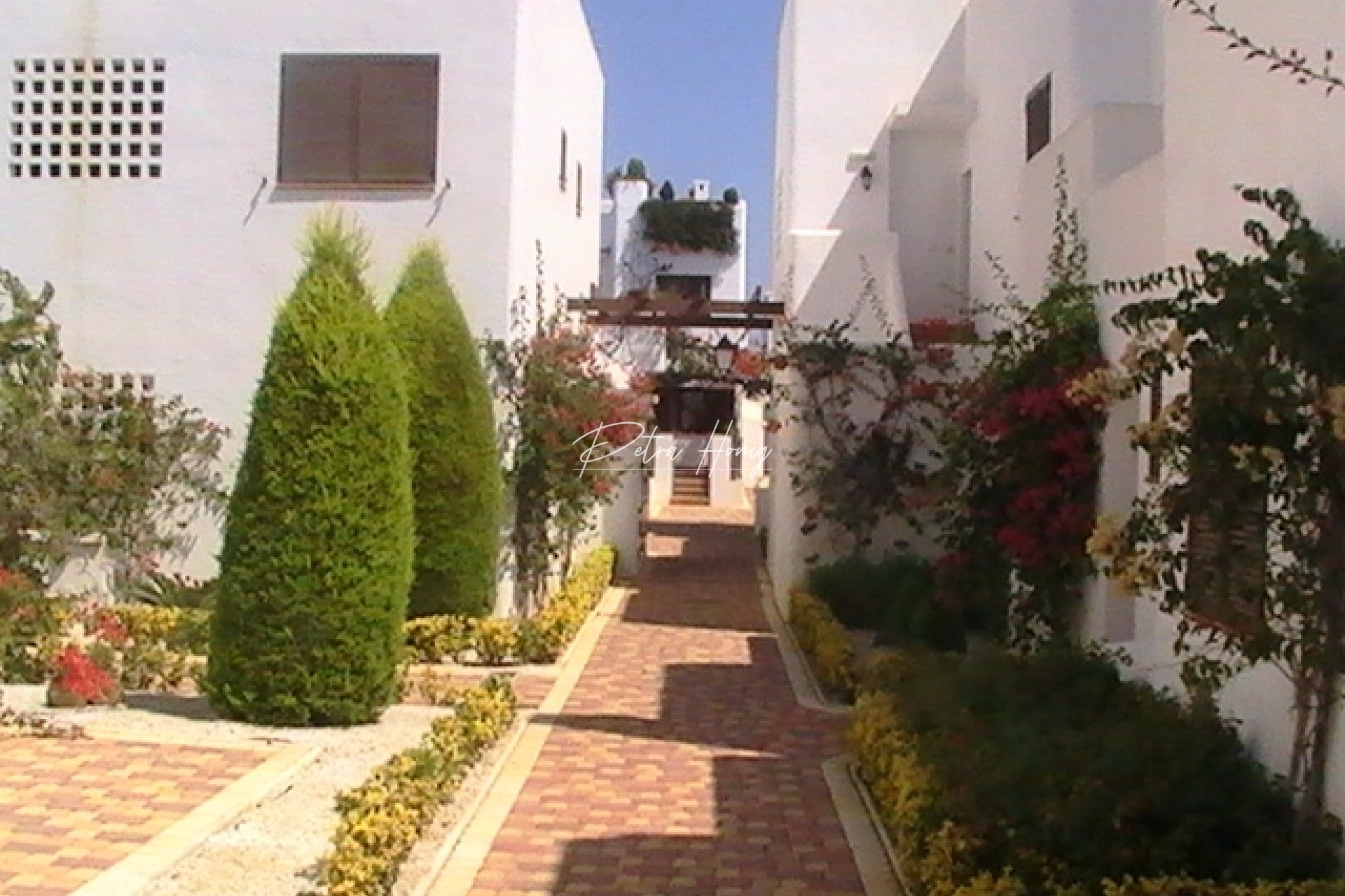 Nouvelle Construction -  - Other areas - San Juan de los Terreros