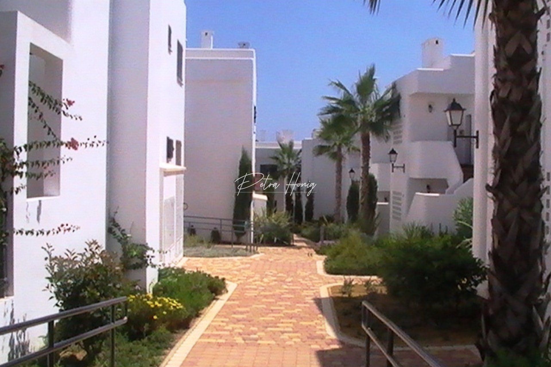 Nouvelle Construction -  - Other areas - San Juan de los Terreros