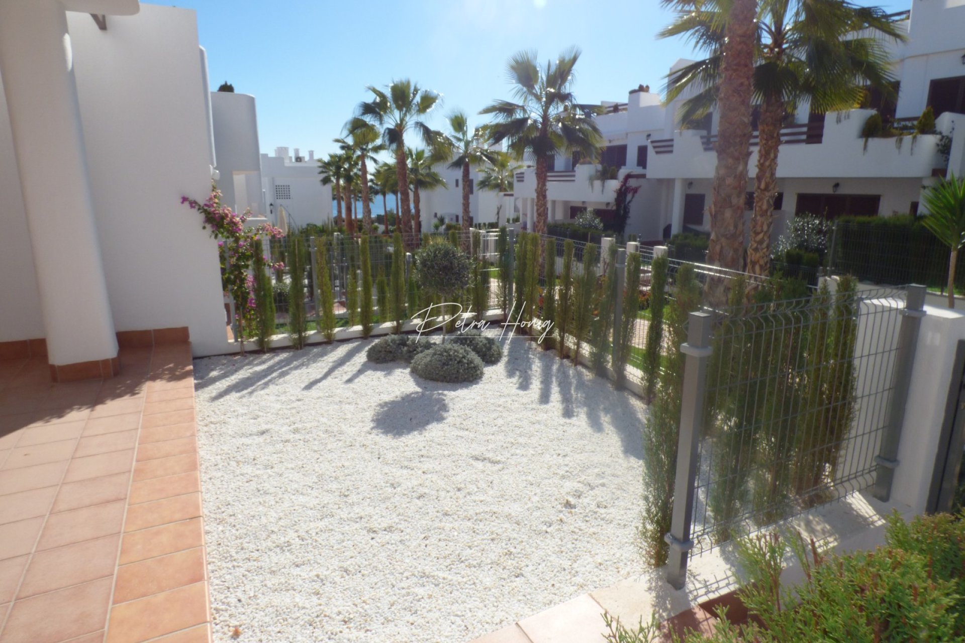Nouvelle Construction -  - Other areas - San Juan de los Terreros
