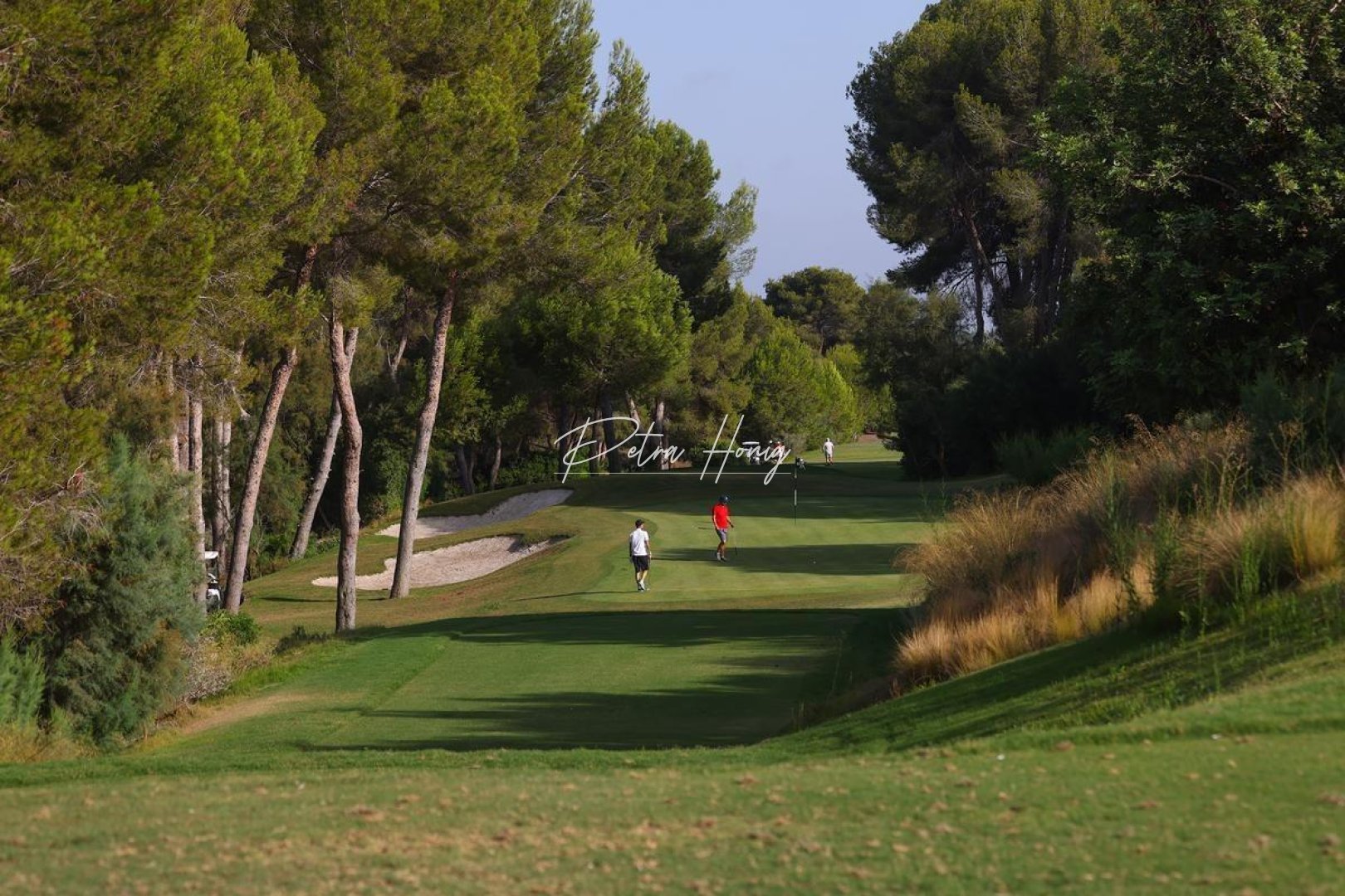 Nouvelle Construction - Villa - Orihuela Costa - Las Colinas Golf