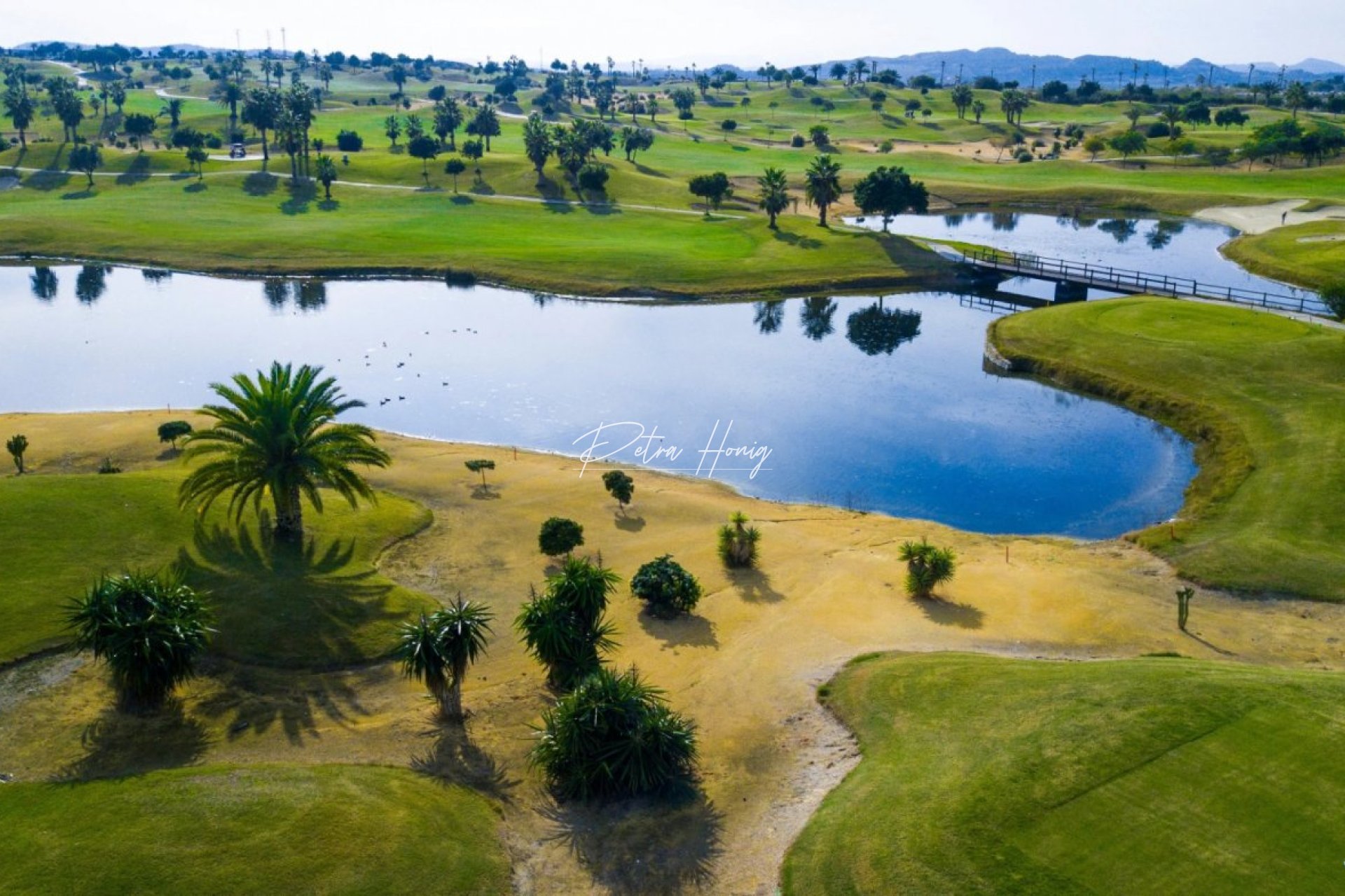 Nouvelle Construction - Villa - Orihuela Costa - Vistabella golf