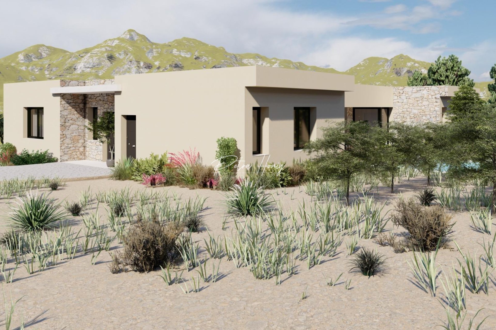 Nouvelle Construction - Villa - Other areas - Yecla