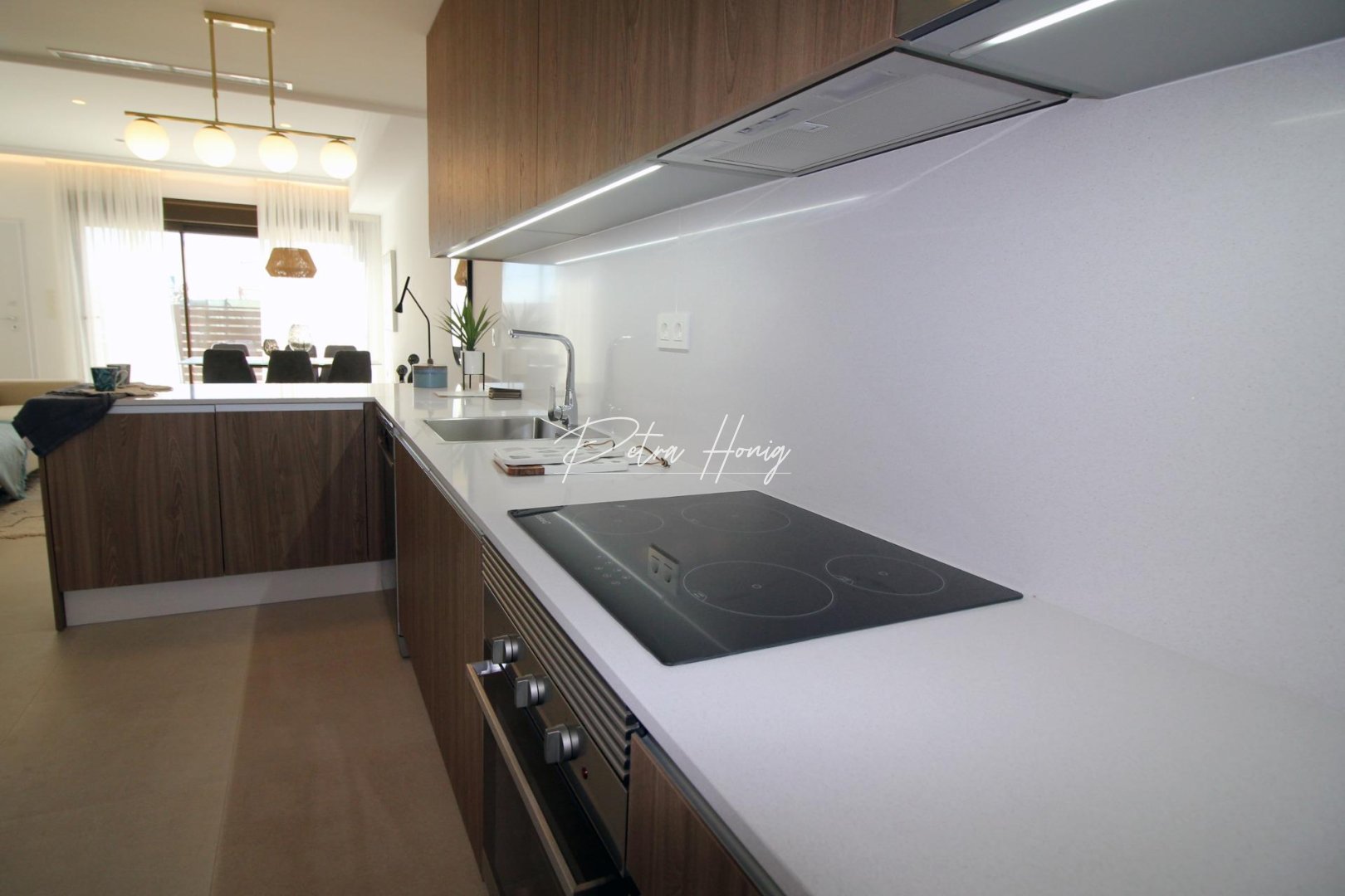 Nouvelle Construction - Villa - Pilar de La Horadada - parque Andromeda
