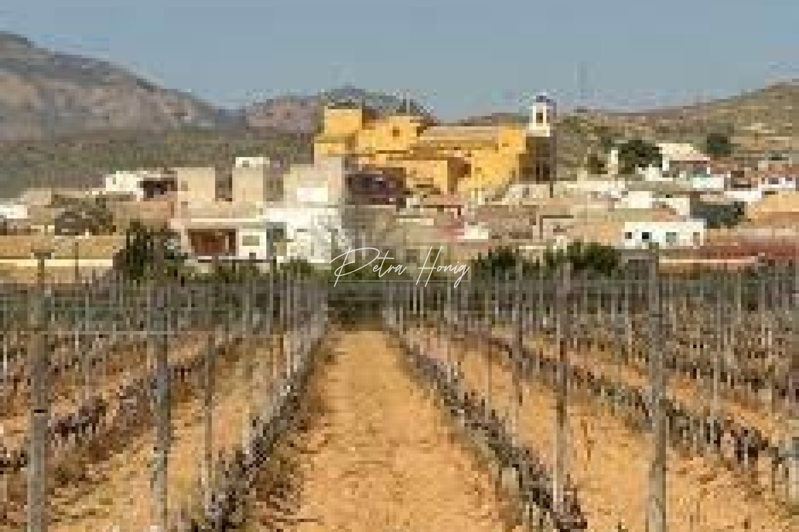 новый - Bungalow - Hondón de las Nieves - El Salero